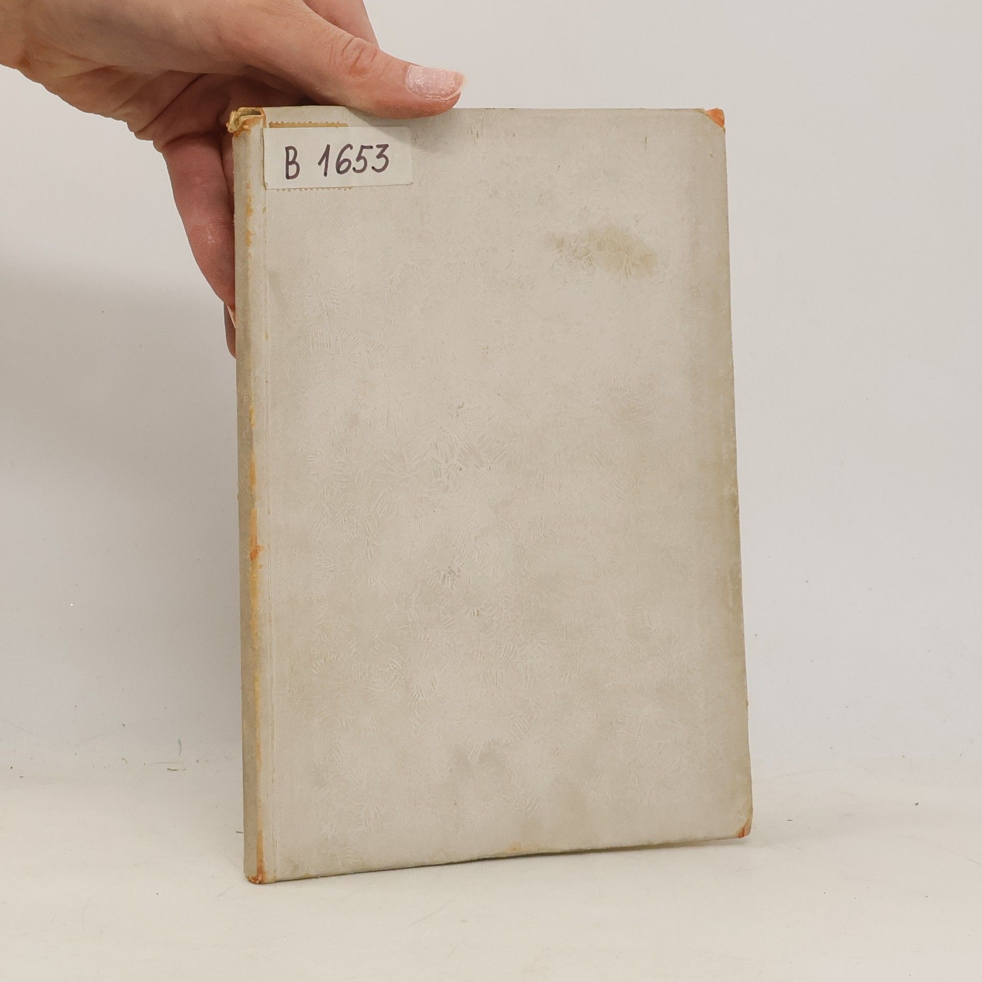 Obnova památné Prahy