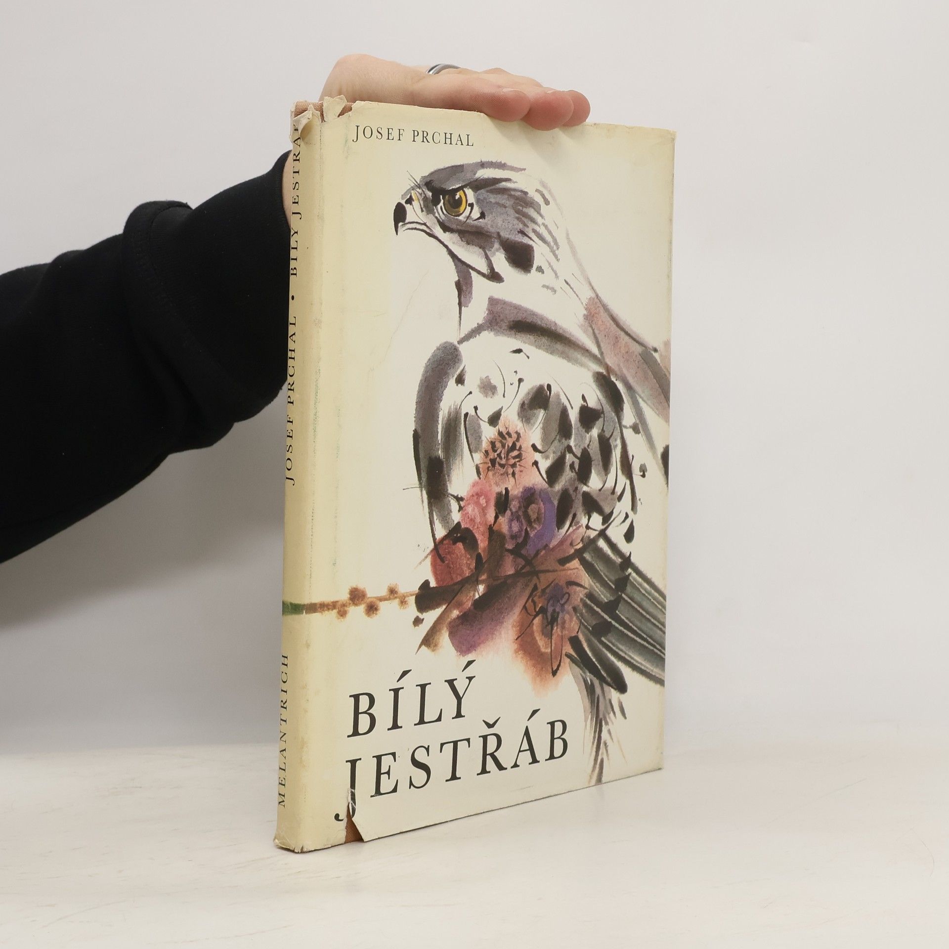 Josef Prchal Bílý jestřáb