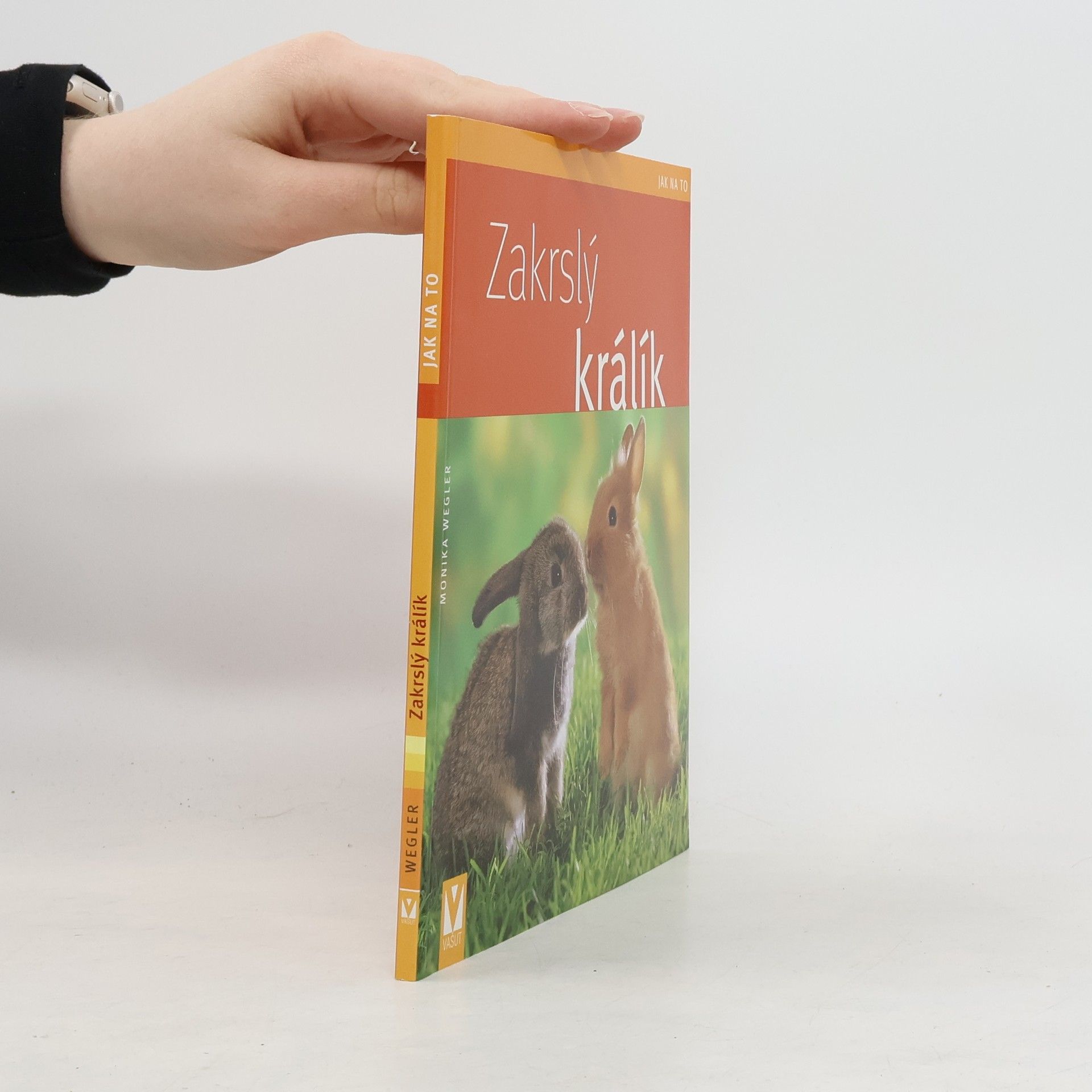 Monika Wegler Zakrslý králík