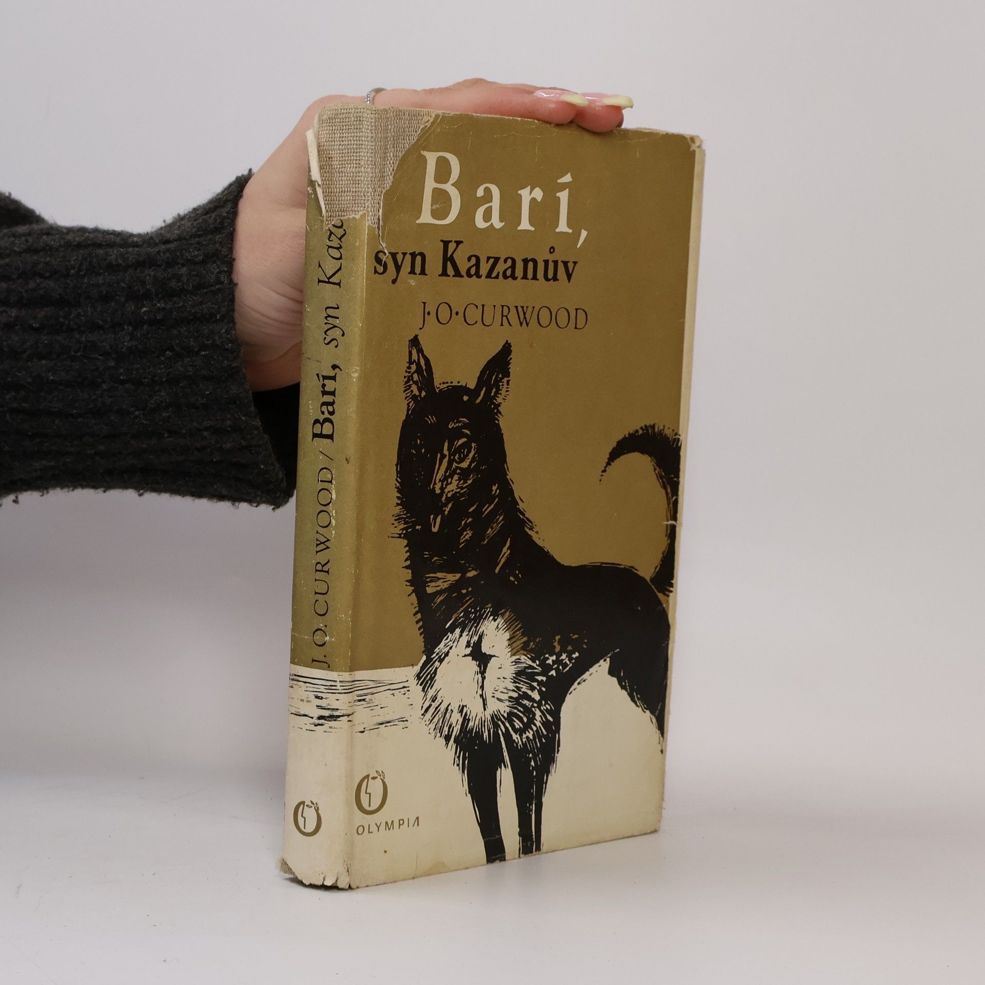 James Oliver Curwood Barí, syn Kazanův