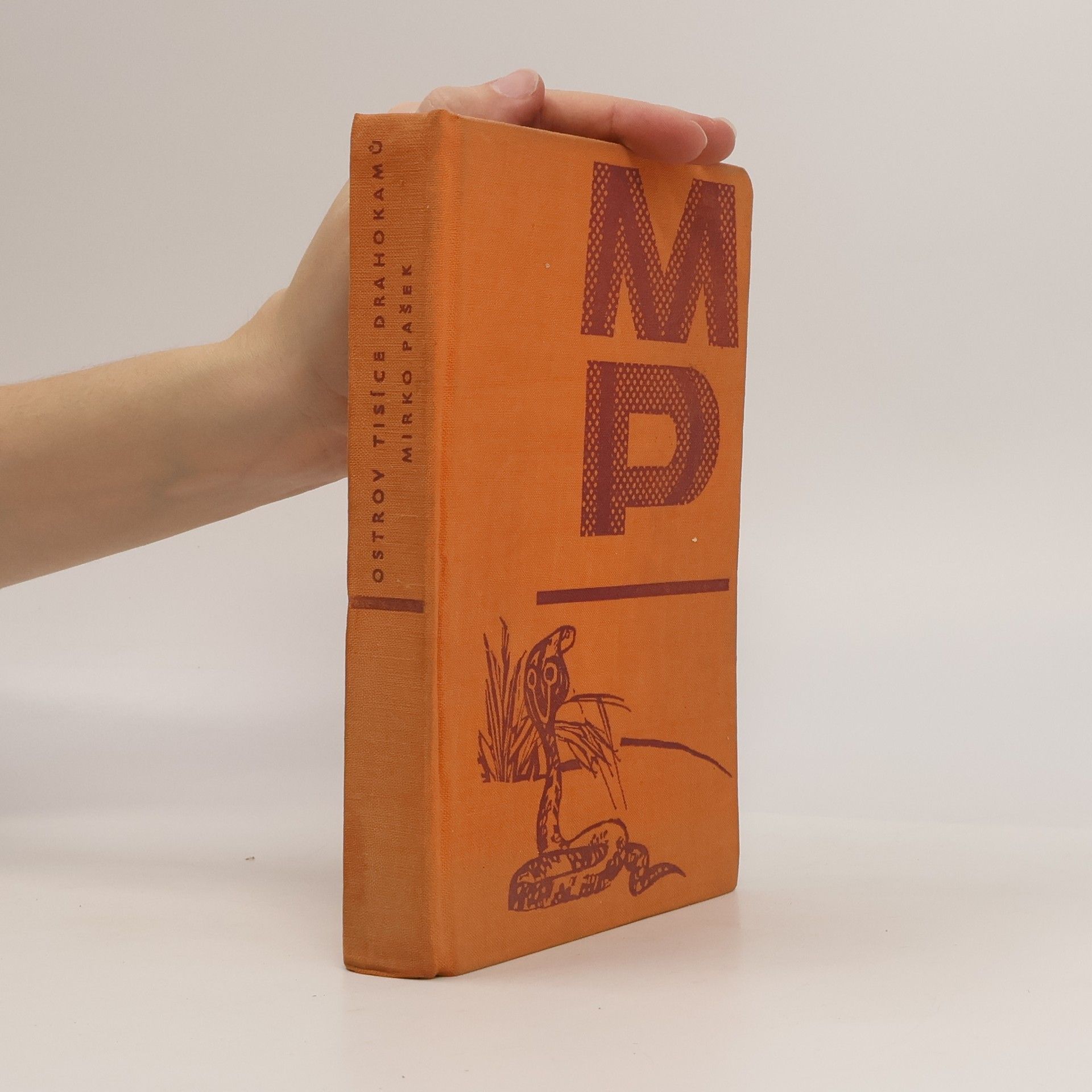 Mirko Pašek Ostrov tisíce drahokamů