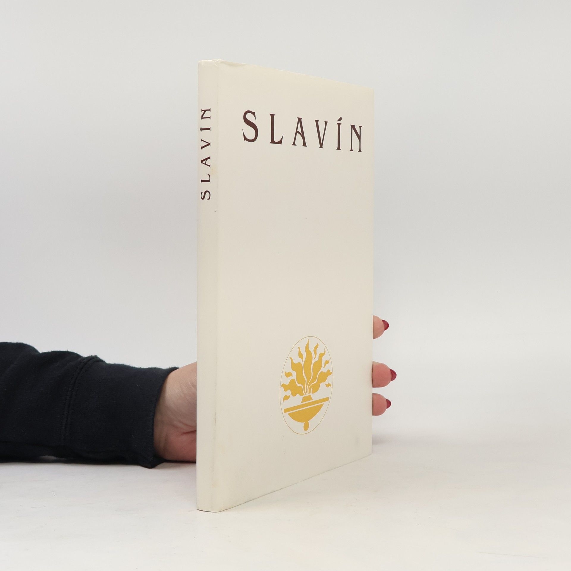 Václav Liška Slavín - Zpráva o rekonstrukci