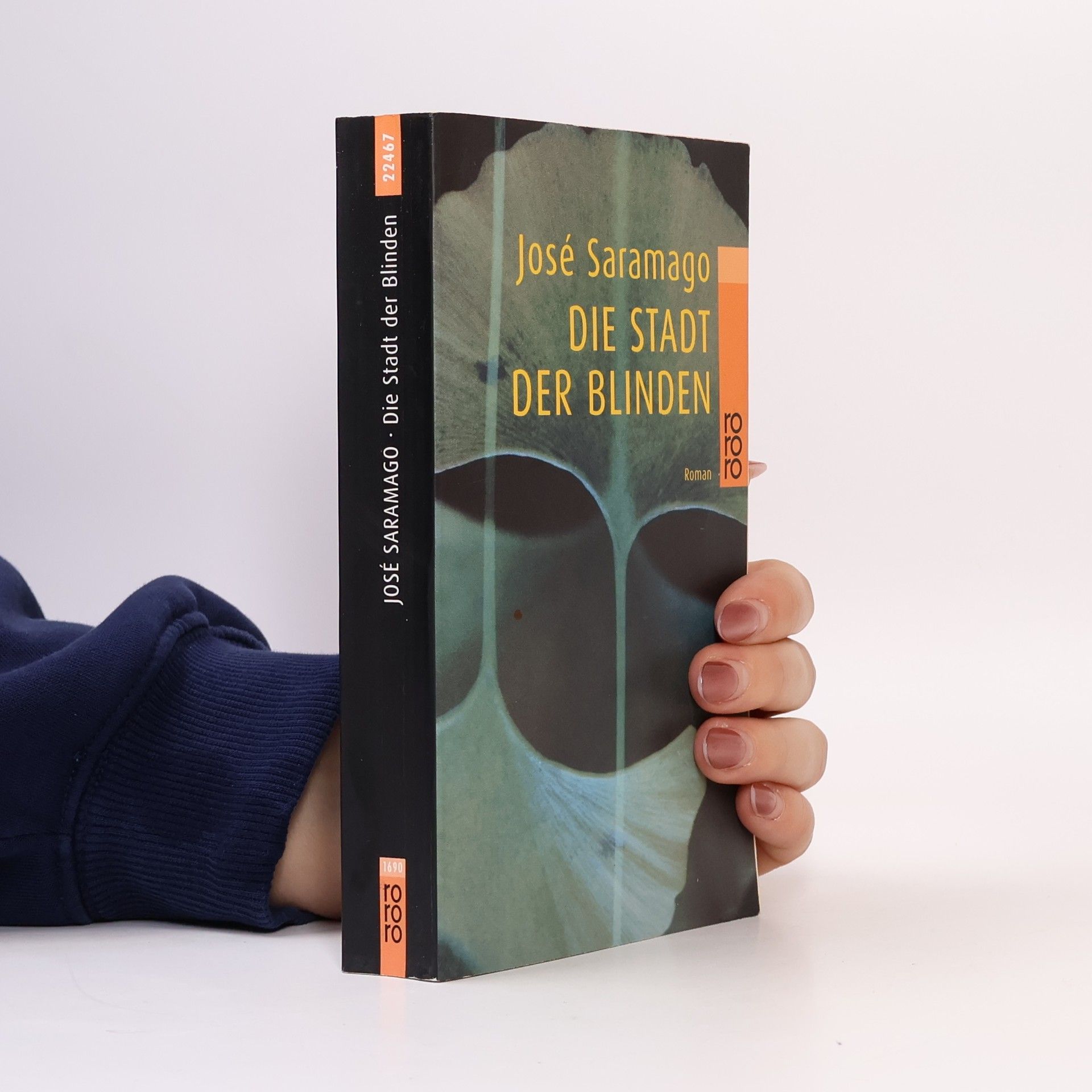 José Saramago Die Stadt der Blinden