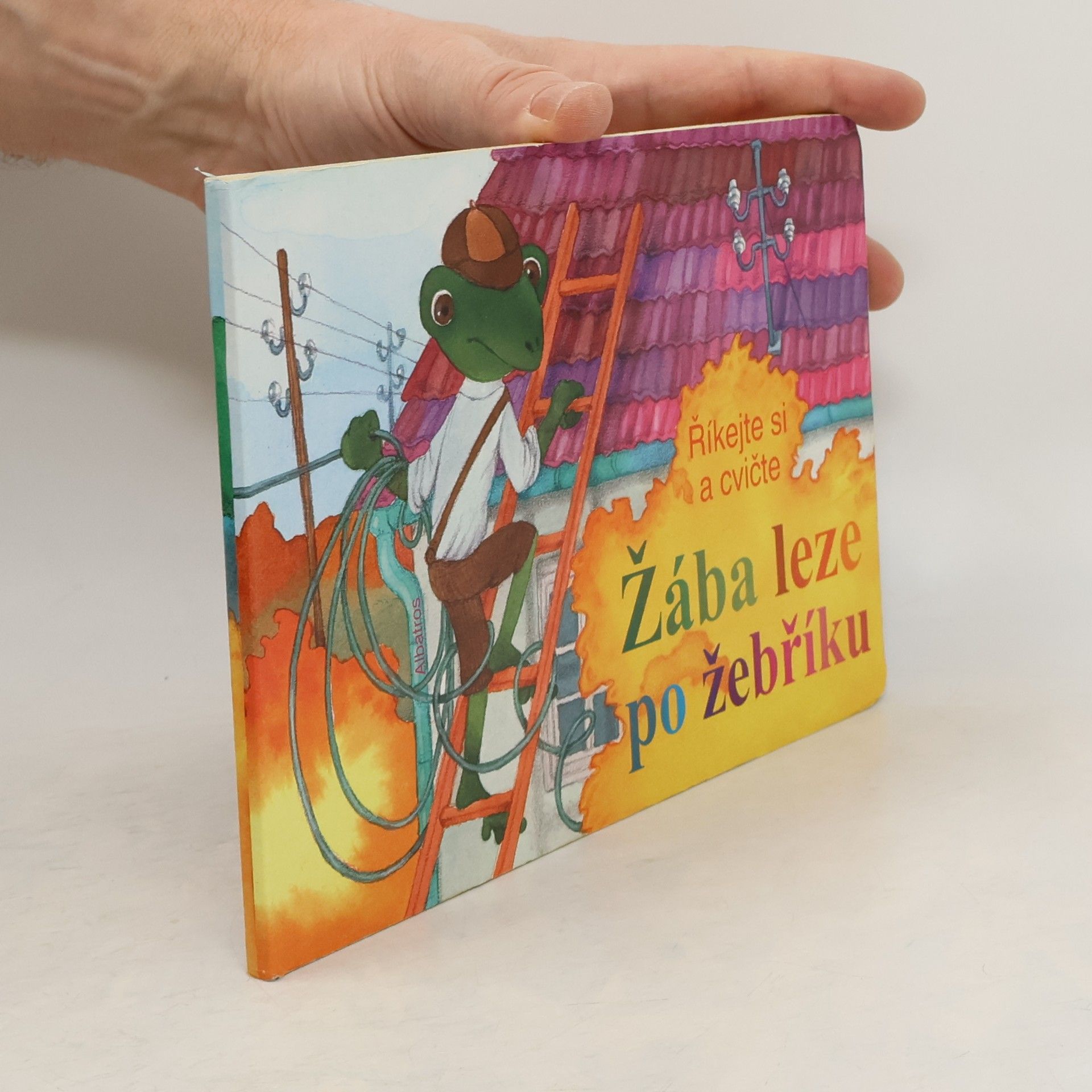 Kolektiv autorů Žába leze po žebříku