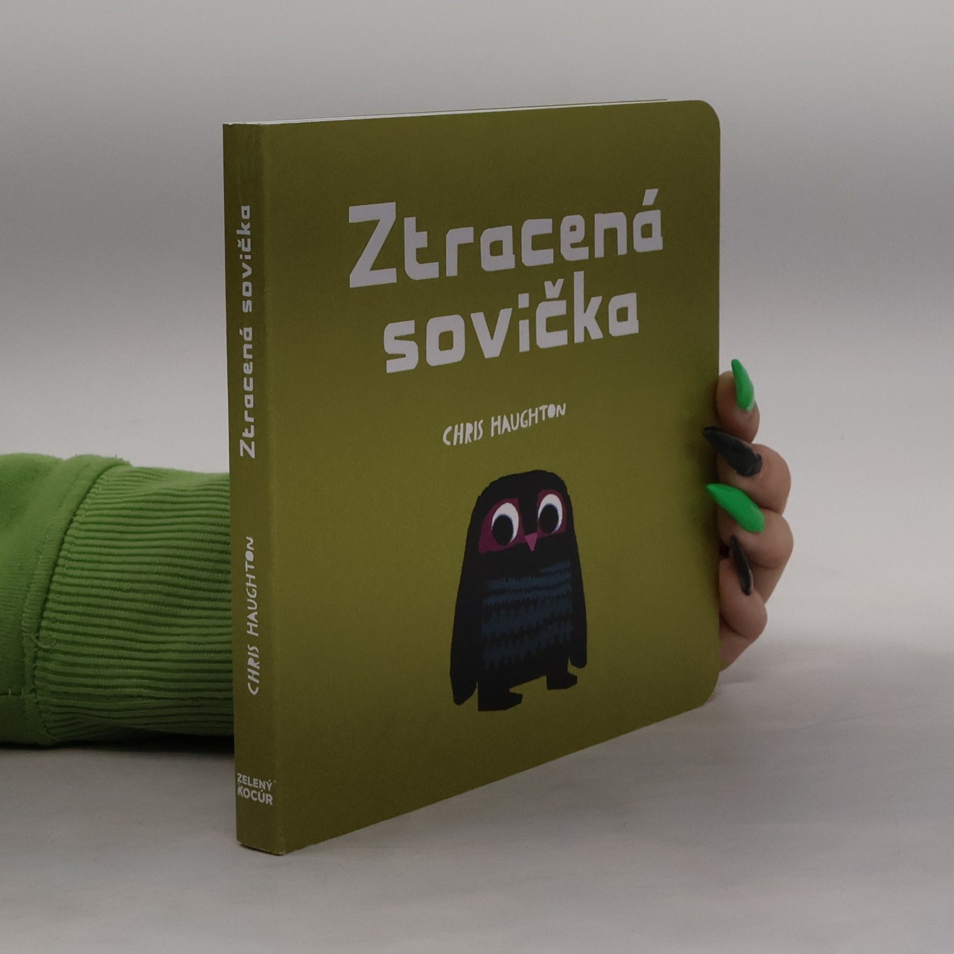 Chris Haughton Ztracená sovička