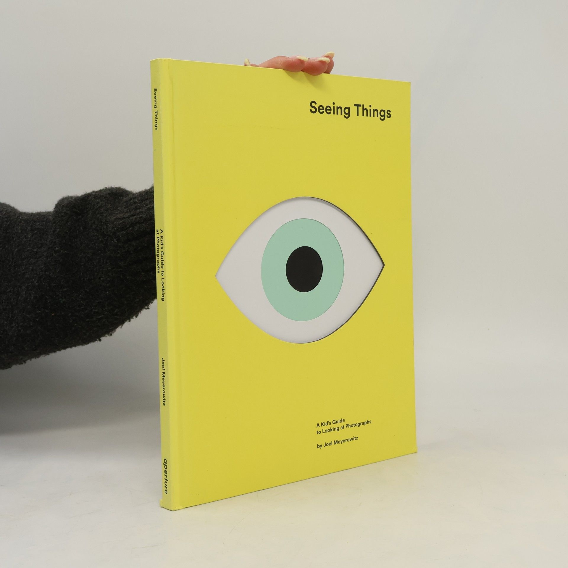 Joel Meyerowitz Seeing Things