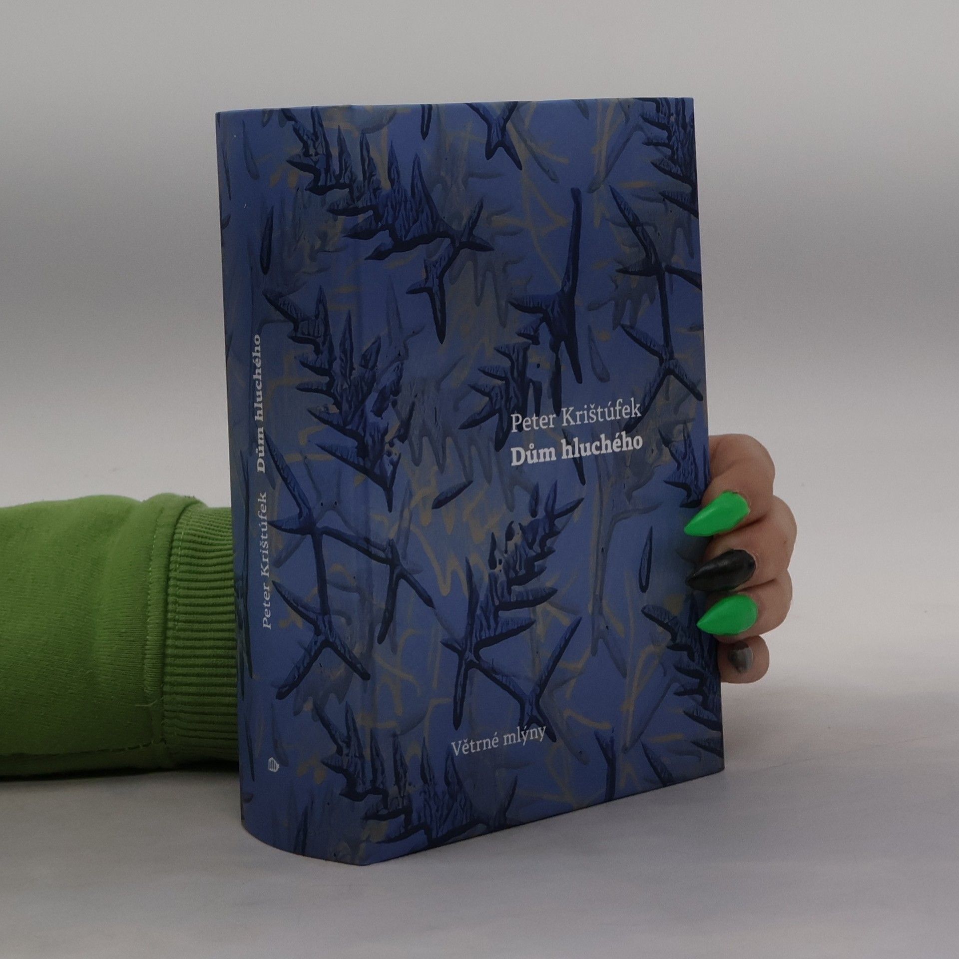 Peter Krištúfek Dům hluchého