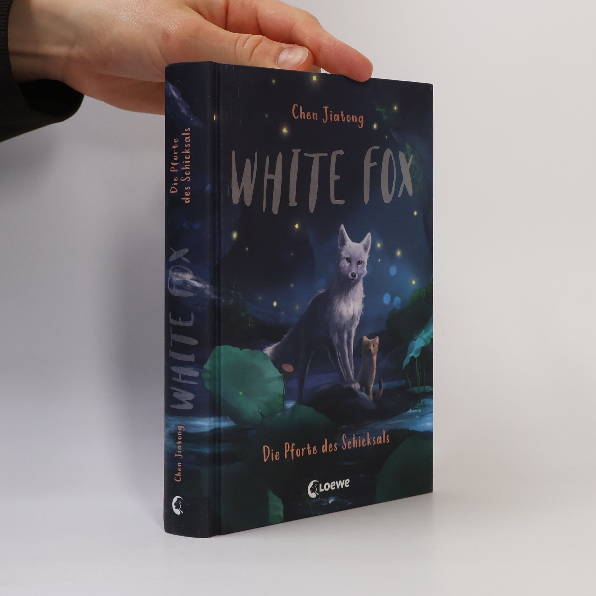 Jiatong Chen Die Pforte des Schicksals