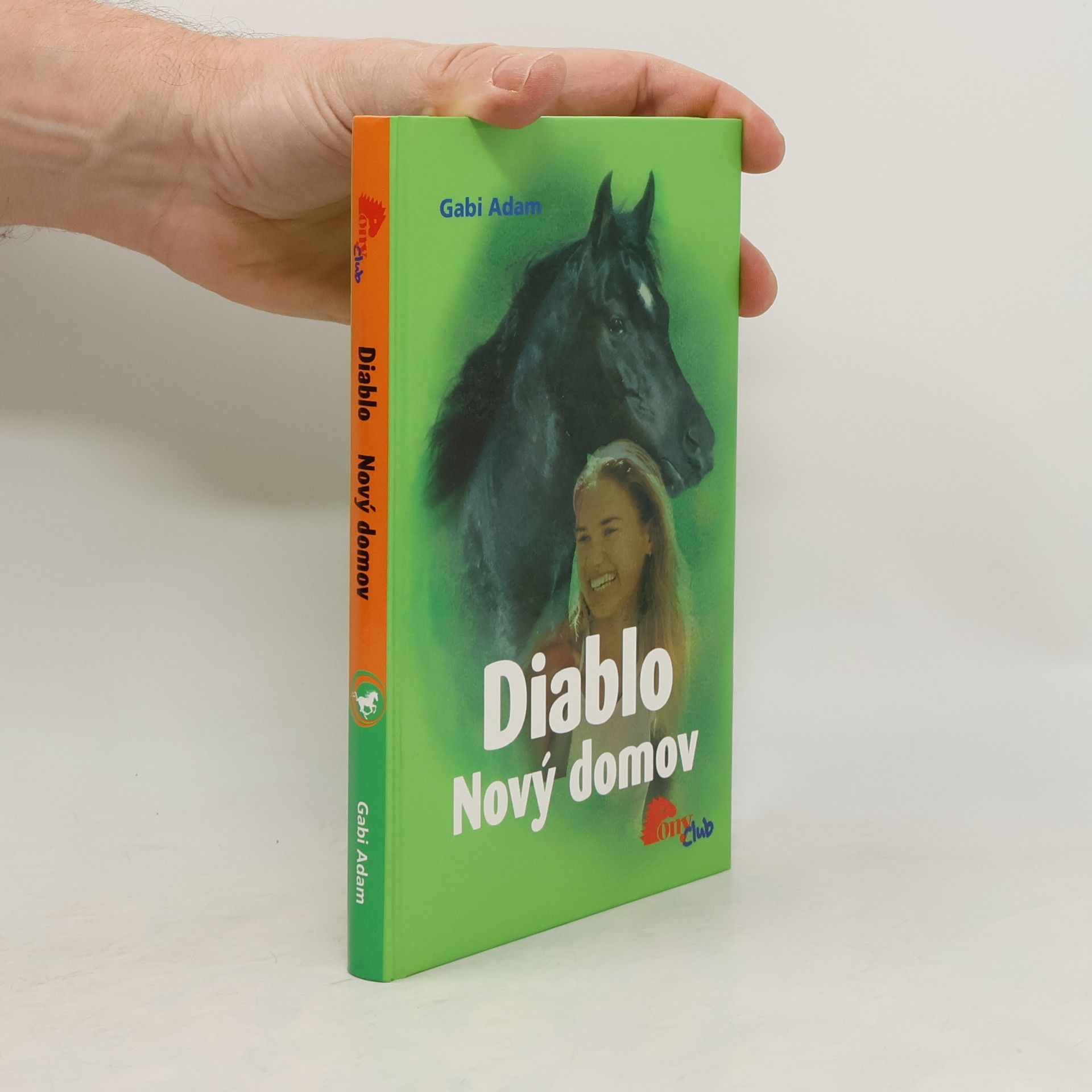 Gabi Adam Nový domov. Diablo 3