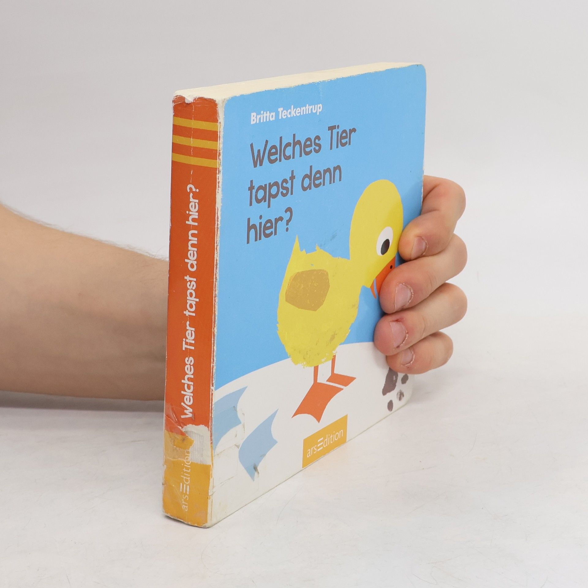 Britta Teckentrup Welches Tier tapst denn hier?