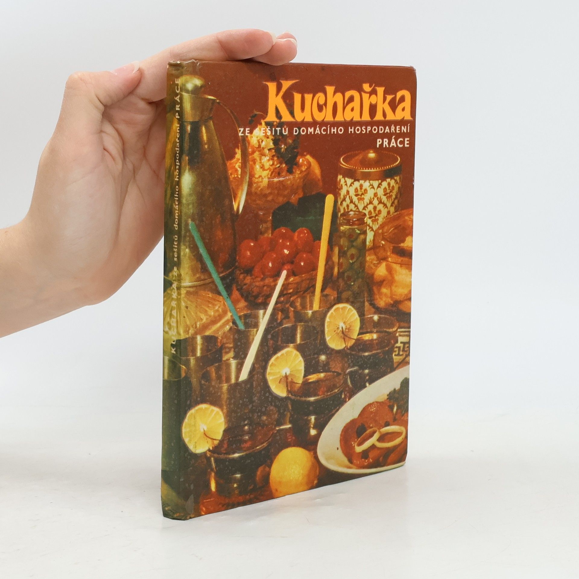 Joza Břízová Kuchařka ze sešitů domácího hospodaření