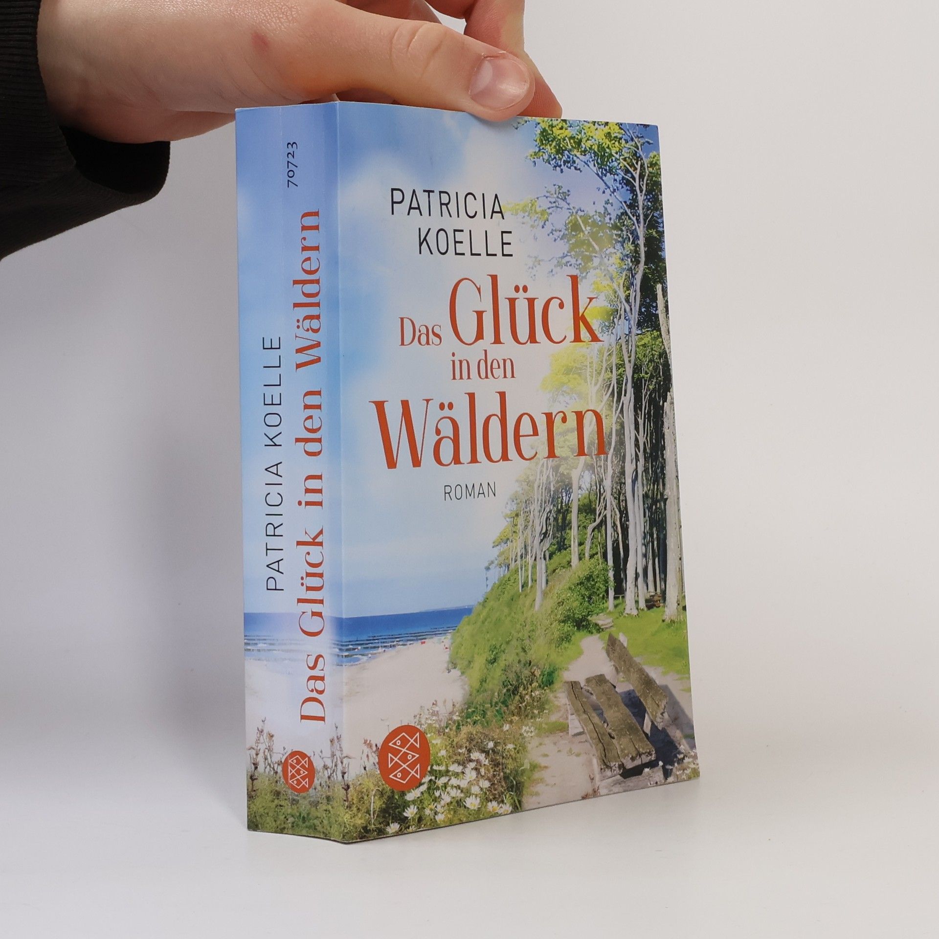 Patricia Koelle Das Glück in den Wäldern