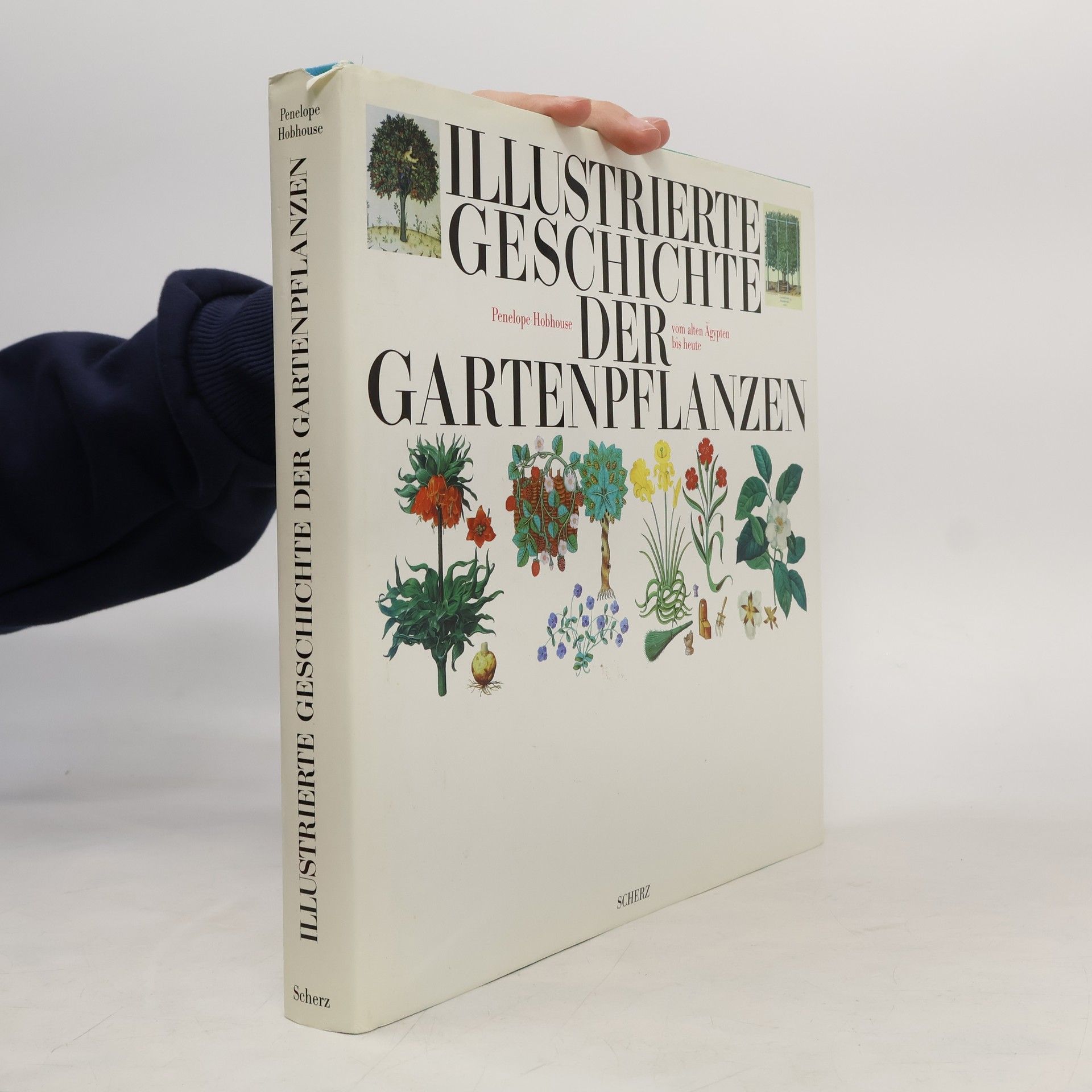 Illustrierte Geschichte der Gartenpflanzen vom Alten Ägypten bis heute