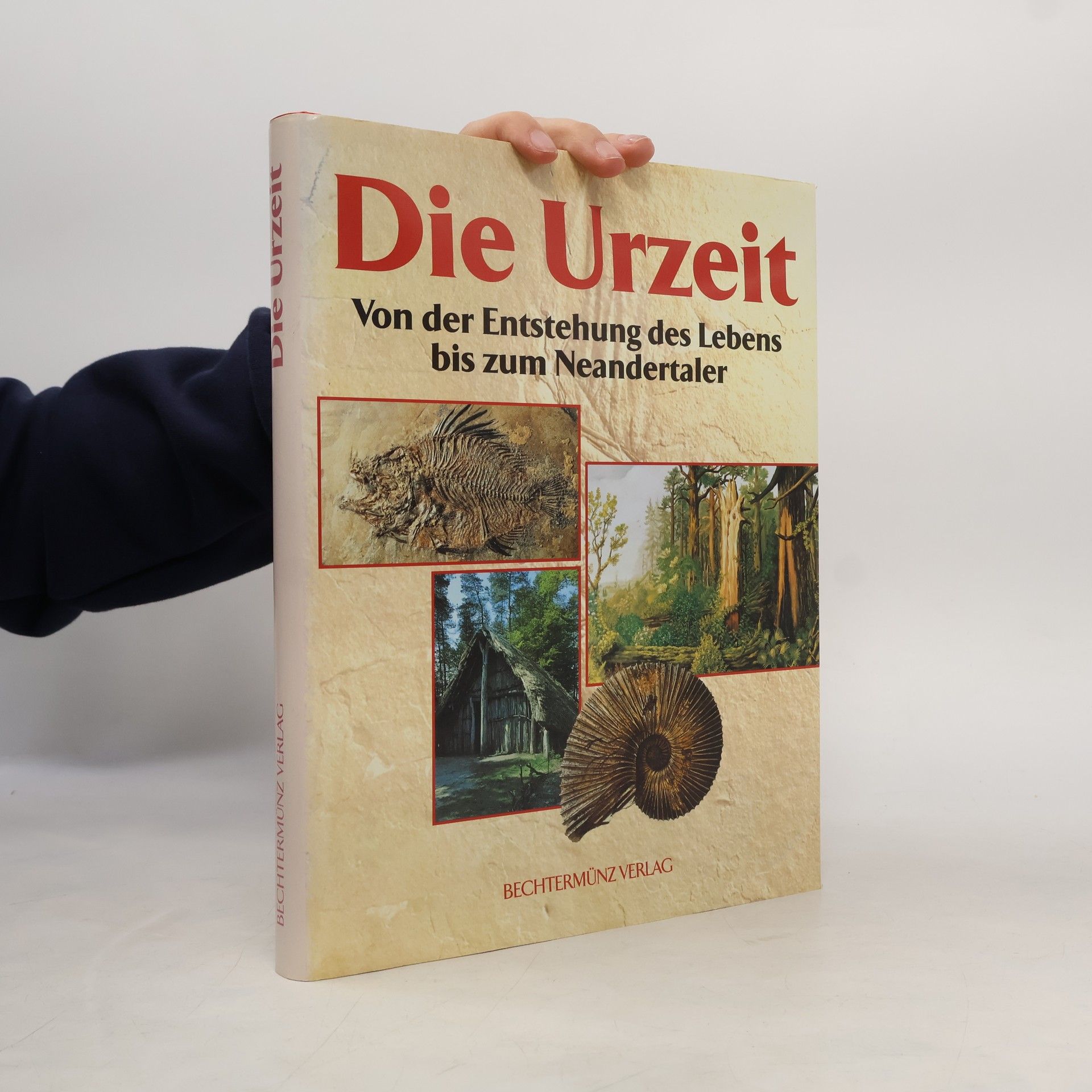 Autorenkollektiv Die Urzeit