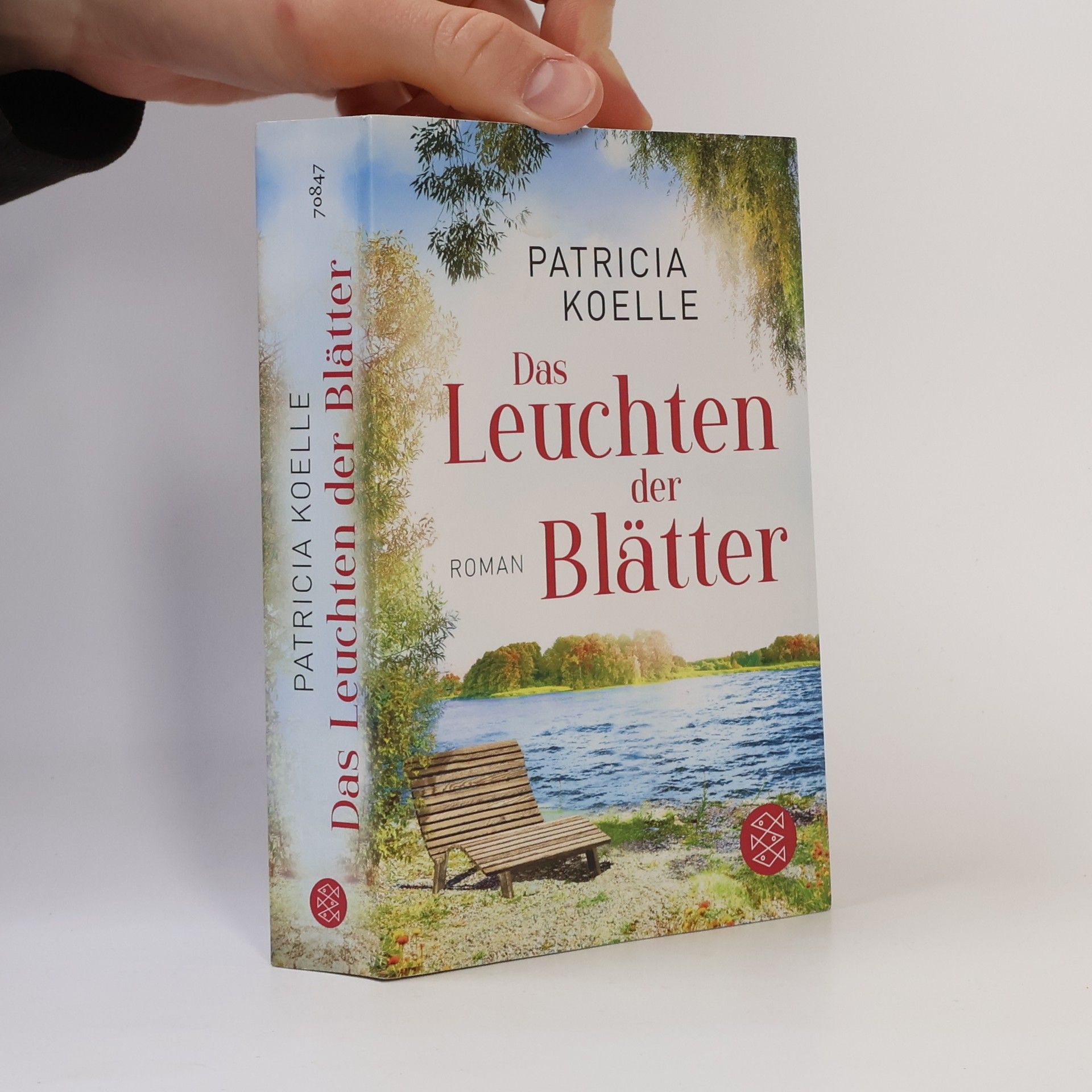 Patricia Koelle Das Leuchten der Blätter
