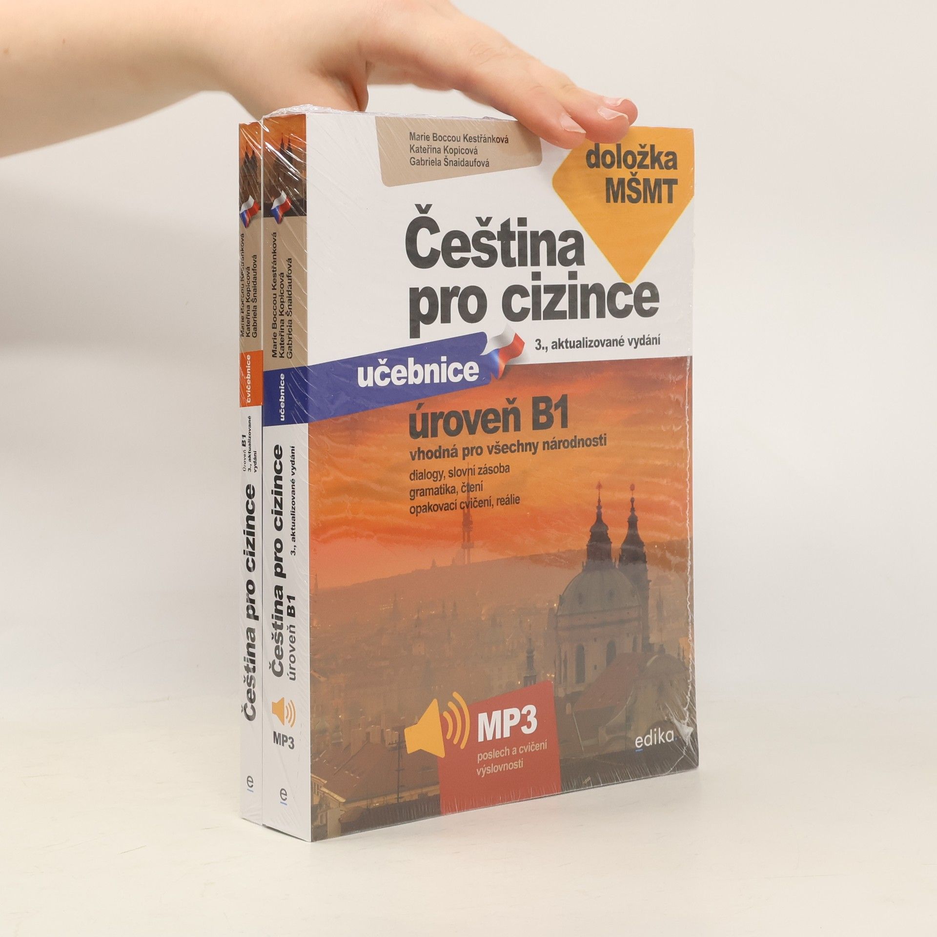 Marie Boccou Kestřánková Čeština pro cizince B1