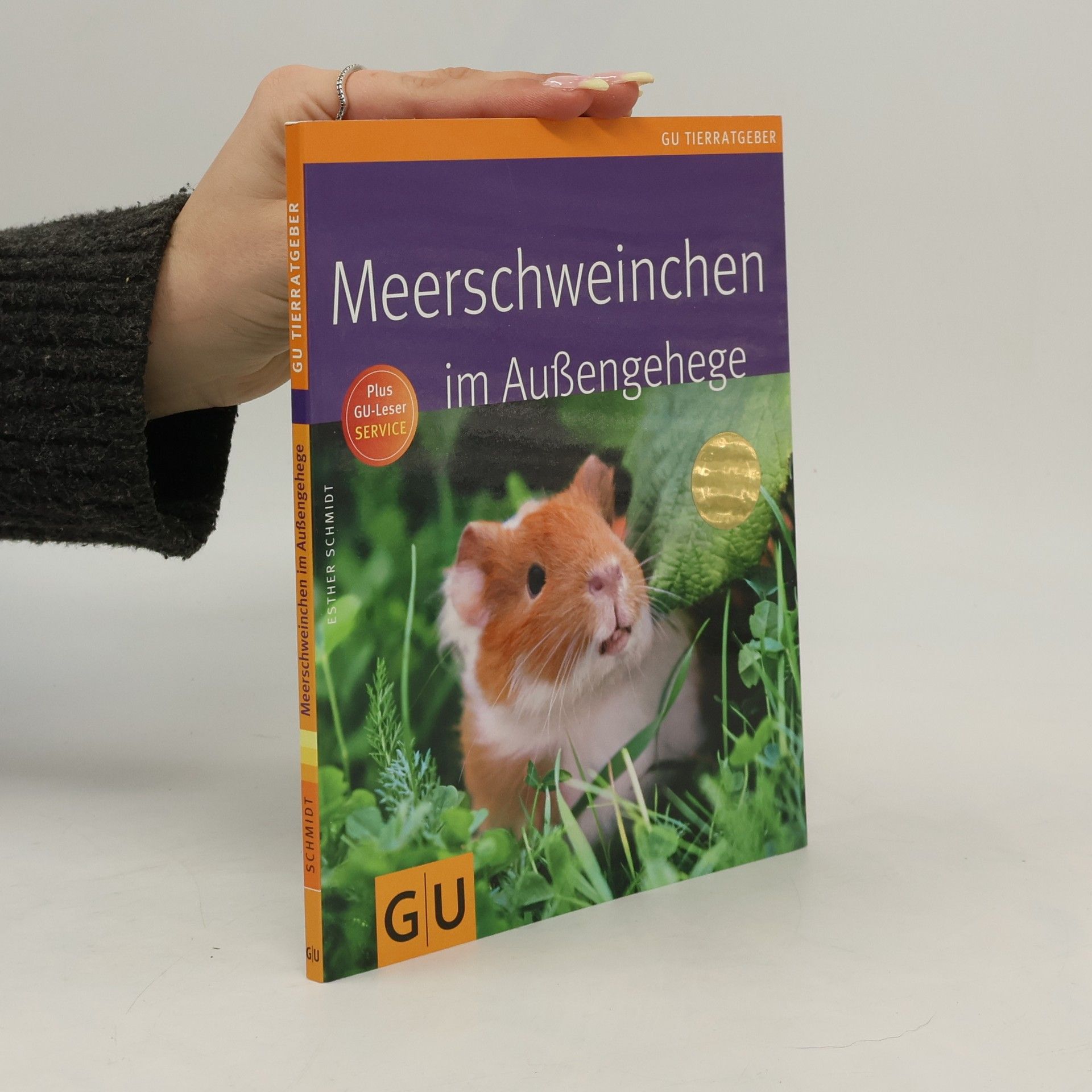 Esther Schmidt Meerschweinchen im Außengehege