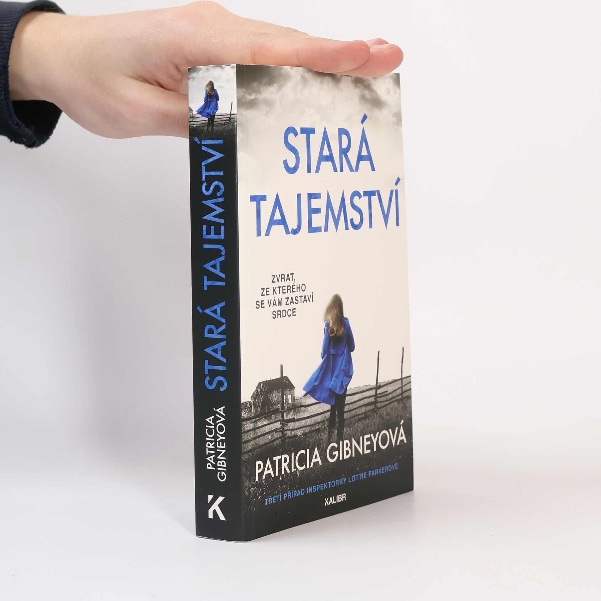 Patricia Gibney Stará tajemství