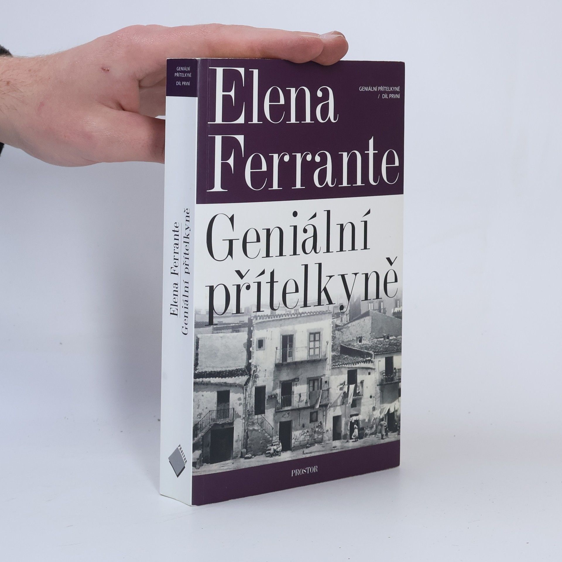 Geniální přítelkyně 1. Dětství a dospívání