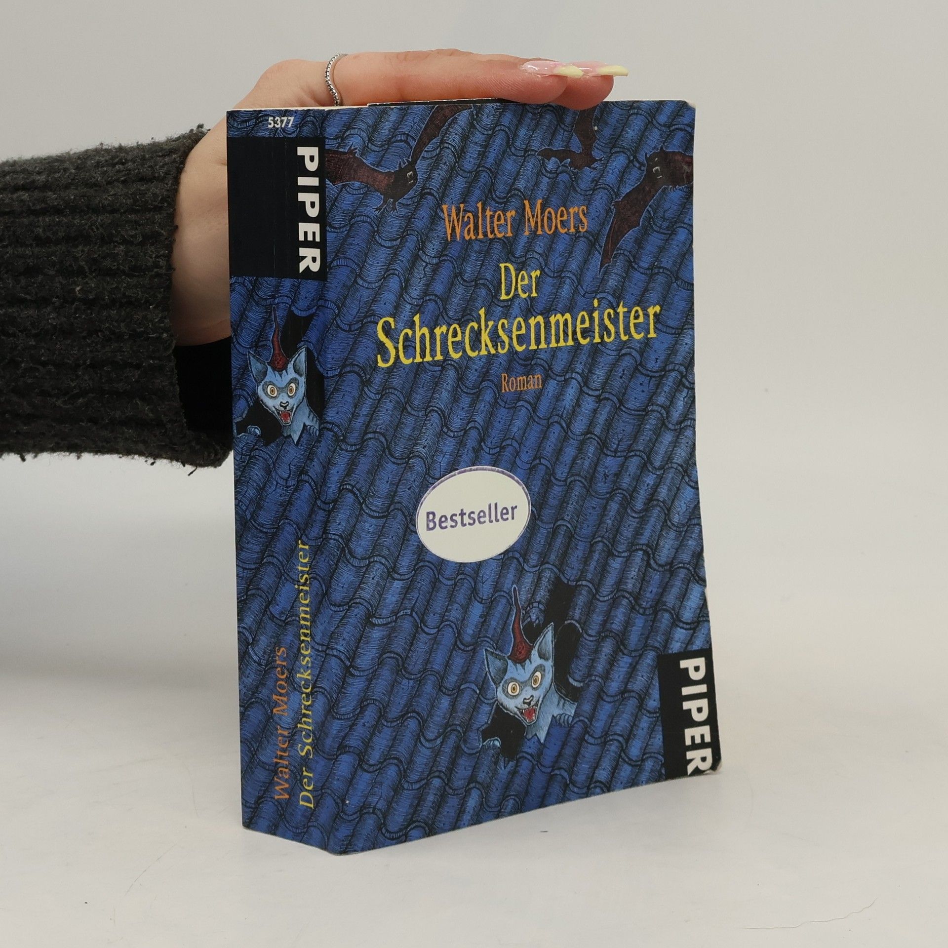 Walter Moers Der Schrecksenmeister