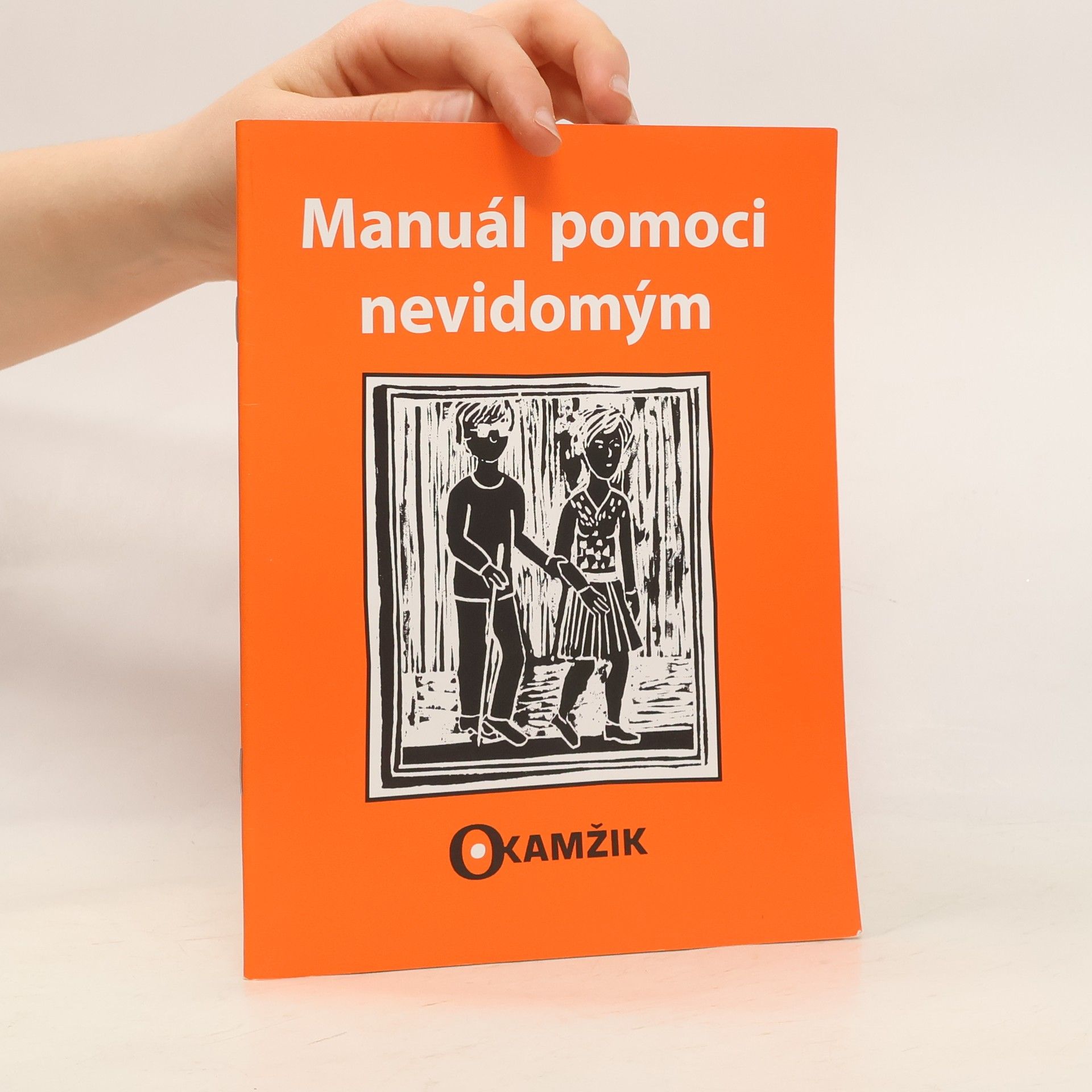 Kolektiv autorů Manuál pomoci nevidomým