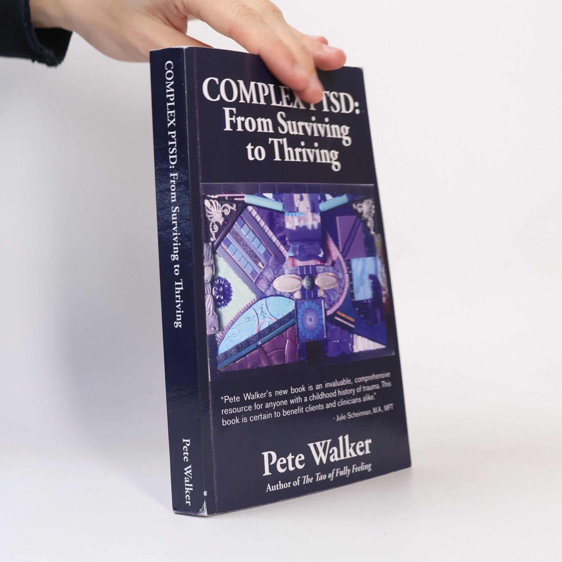 Pete Walker Complex PTSD: from Surviving to Thriving