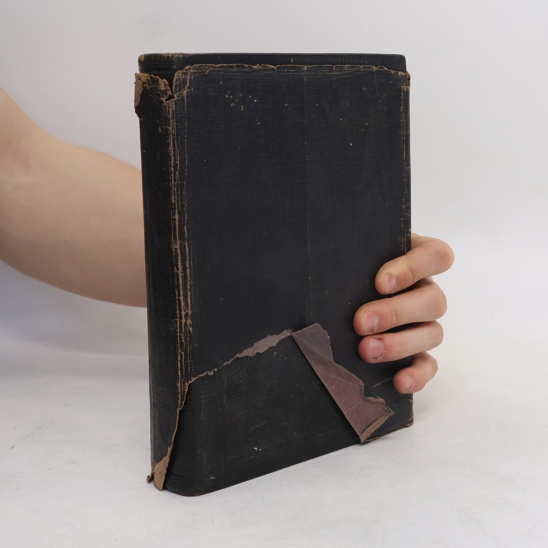 Various authors Die Bibel