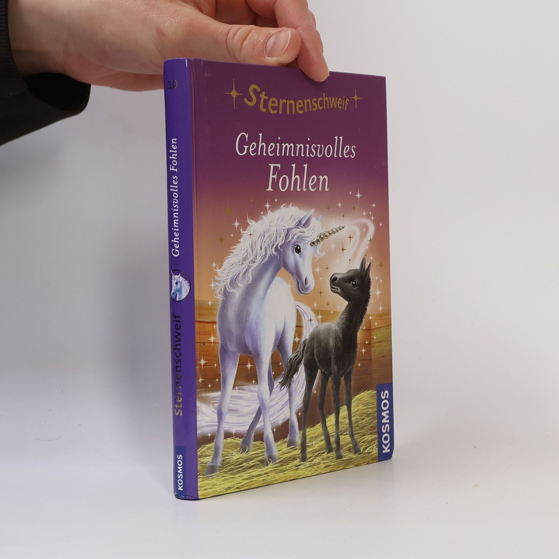 Linda Chapman Geheimnisvolles Fohlen