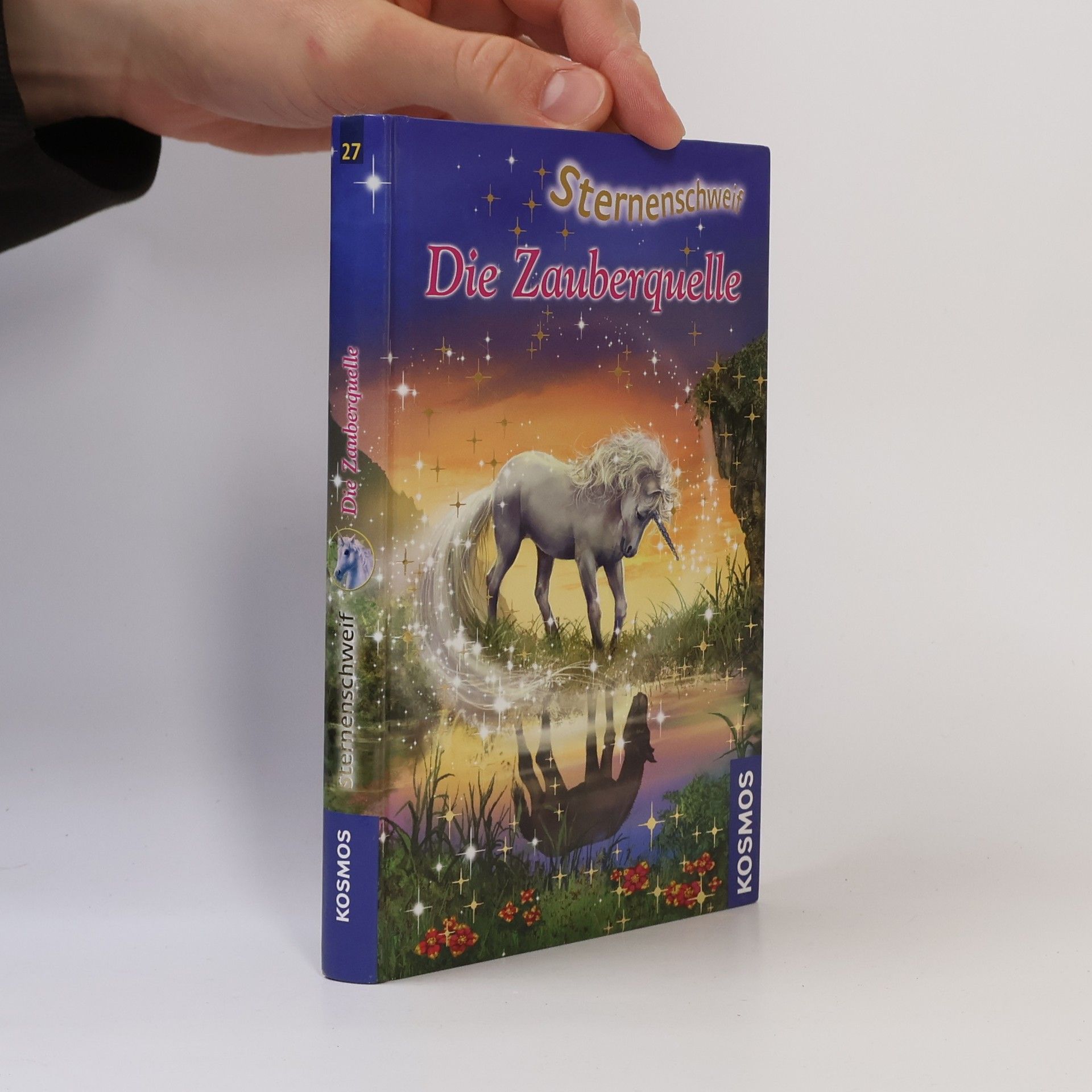 Ina Brandt Die Zauberquelle