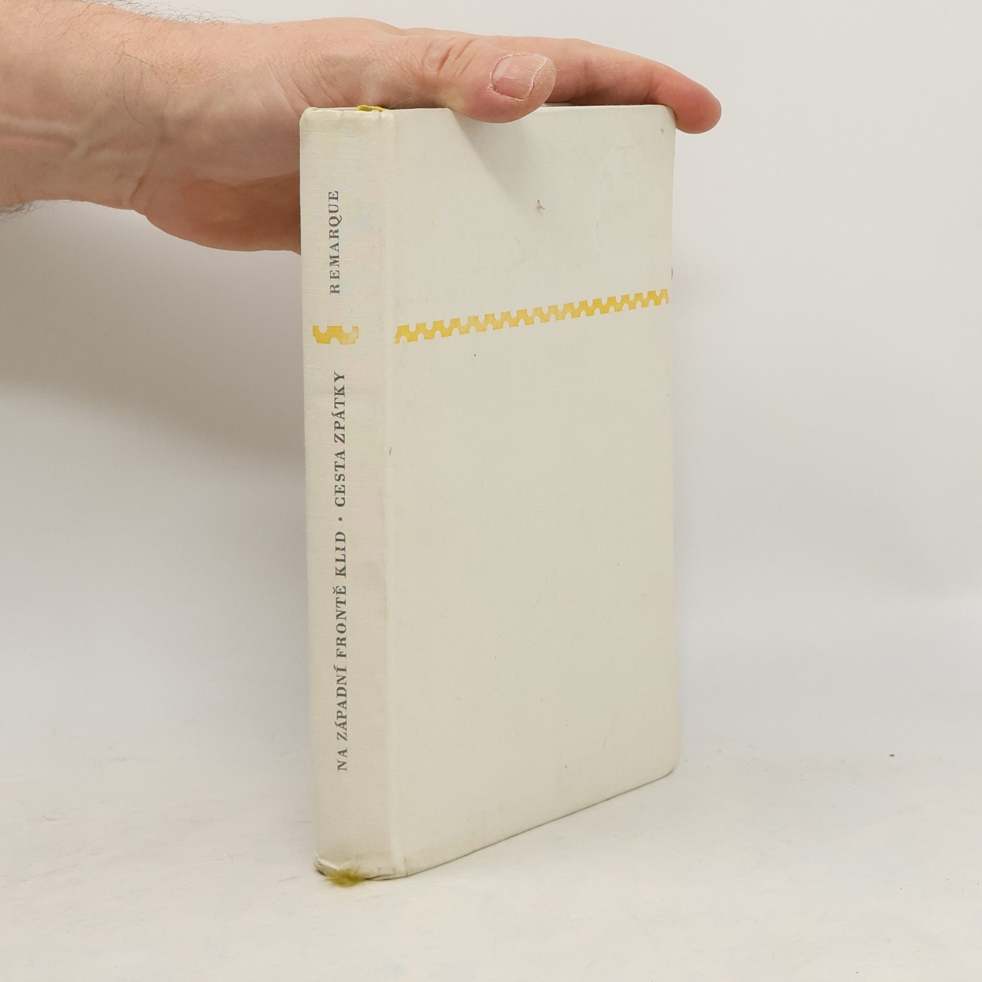 Erich Maria Remarque Na západní frontě klid / Cesta zpátky