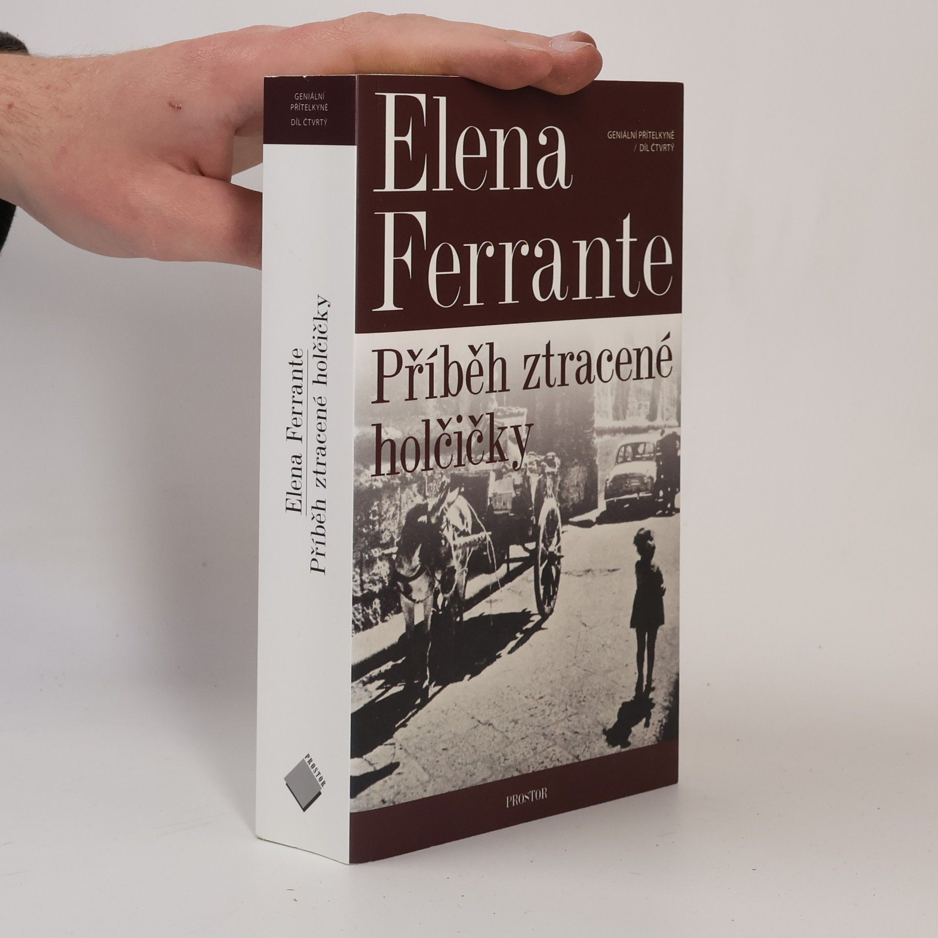 Elena Ferrante Příběh ztracené holčičky. Geniální přítelkyně. 4. díl