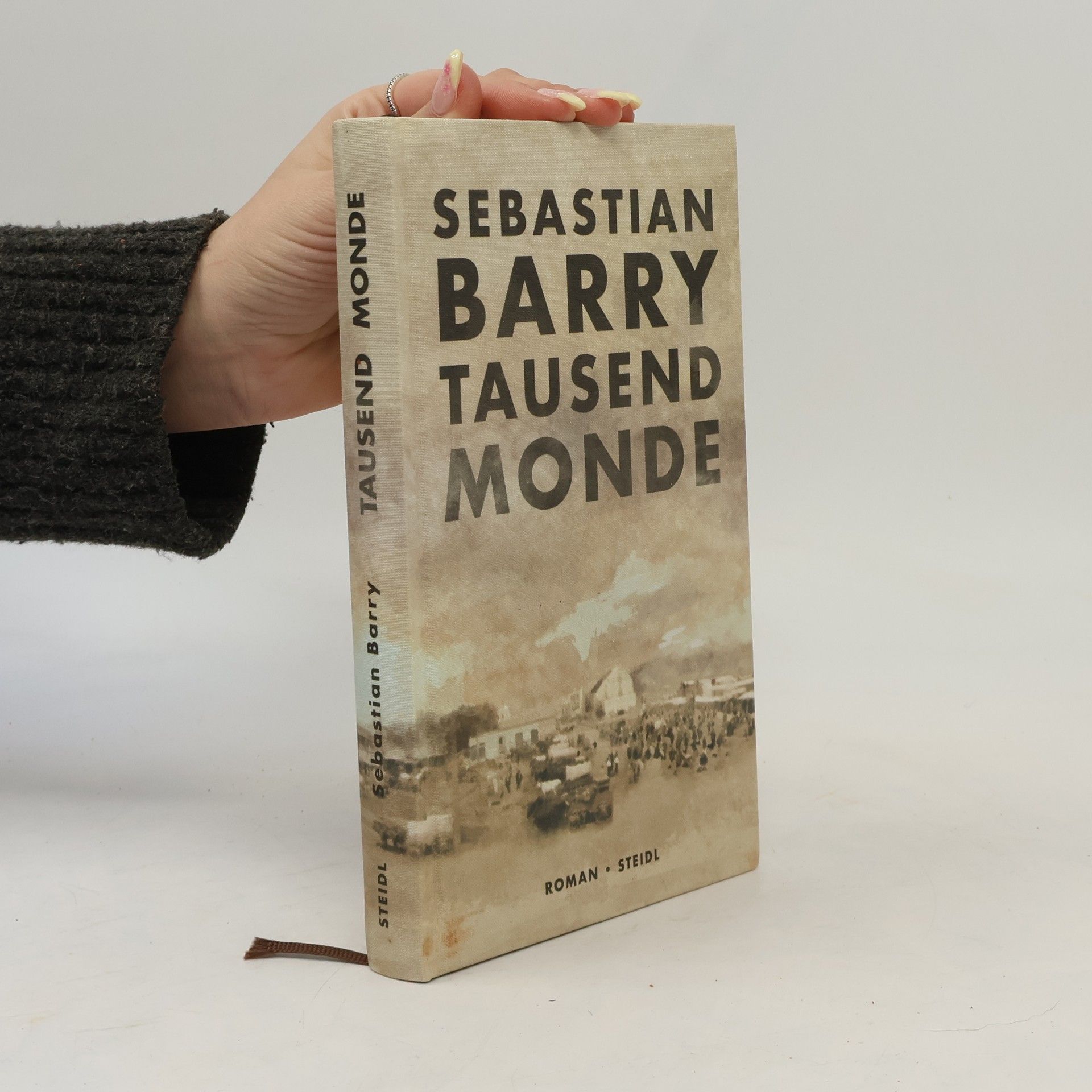 Sebastian Barry Tausend Monde