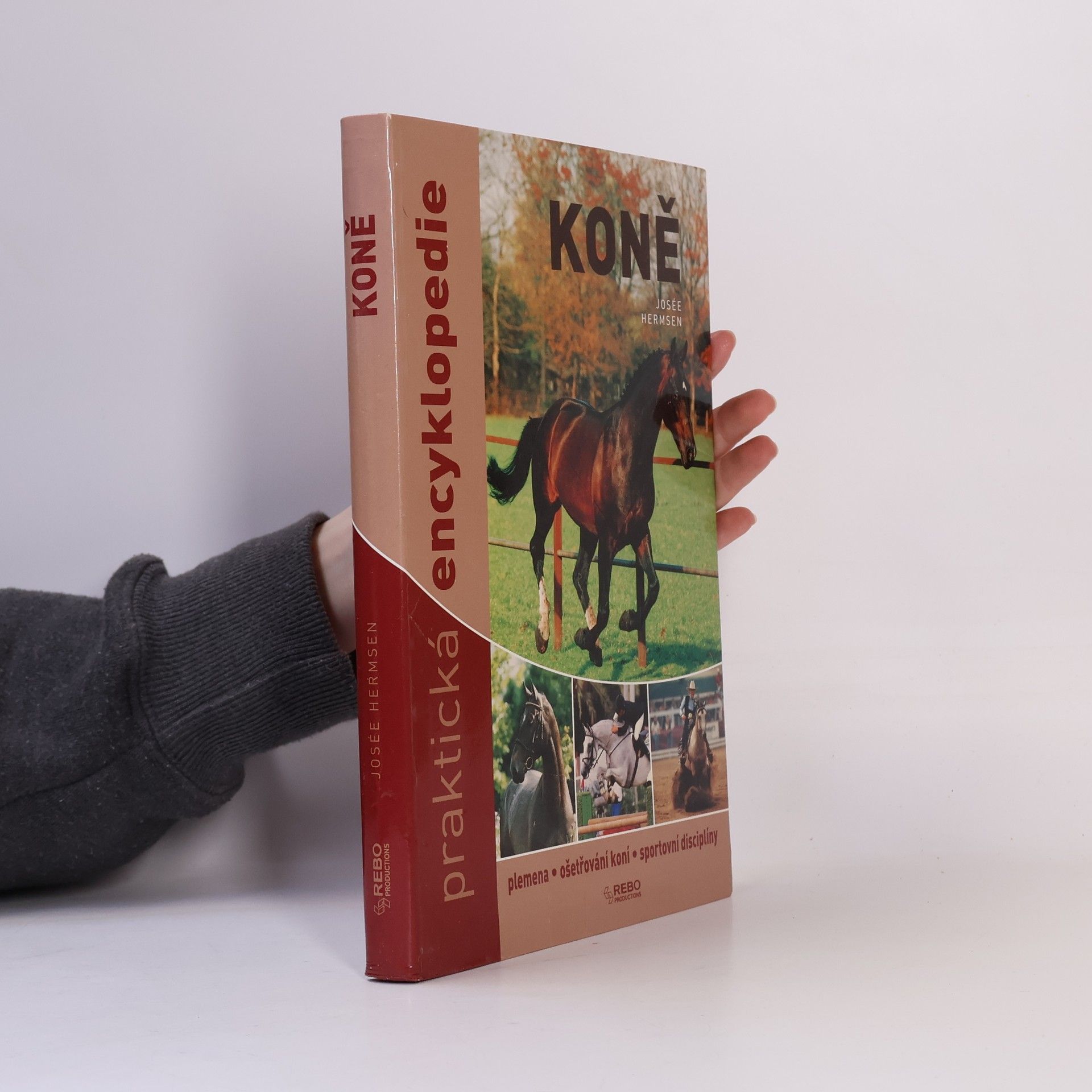 Josée Hermsen Koně - praktická encyklopedie
