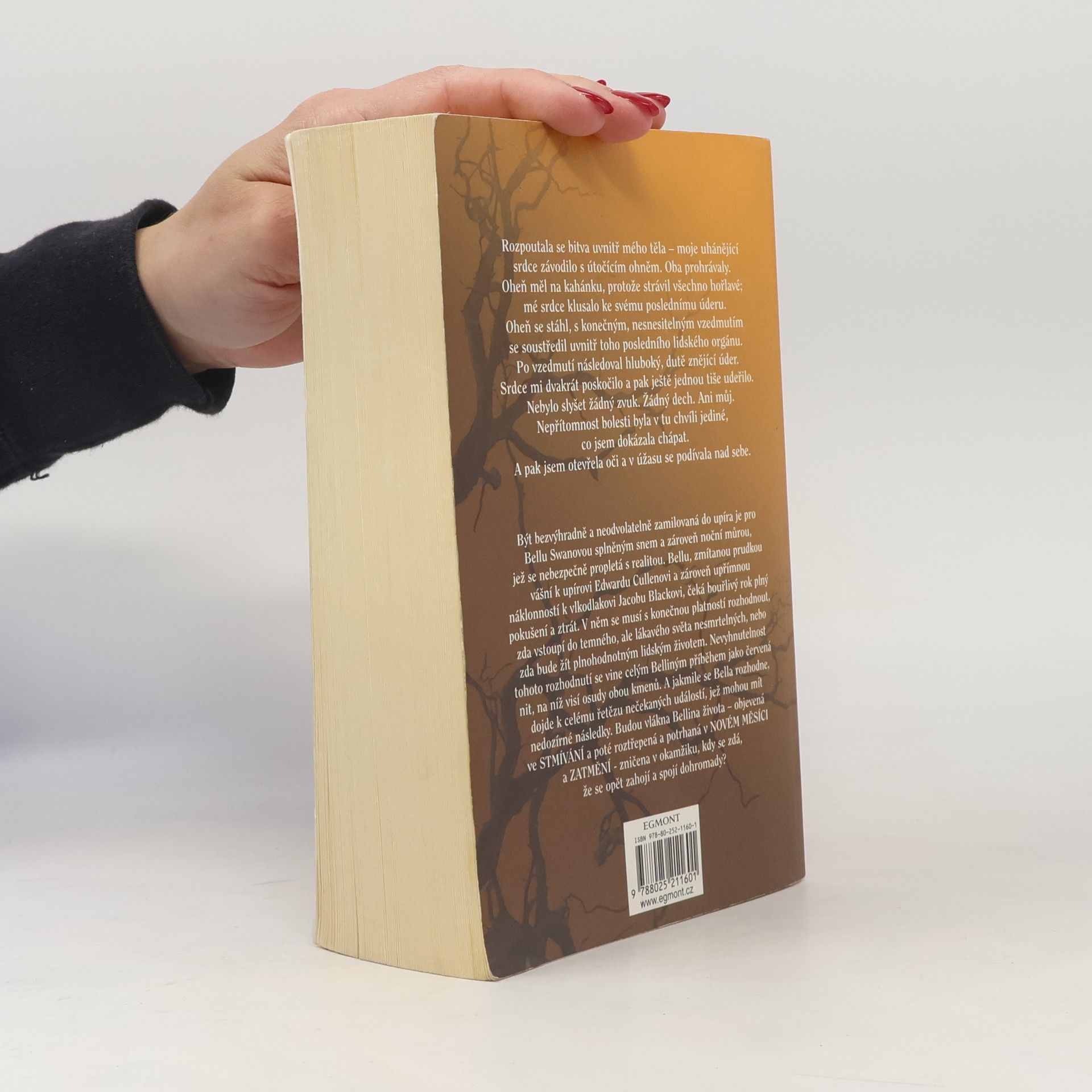 Stephenie Meyer Rozbřesk