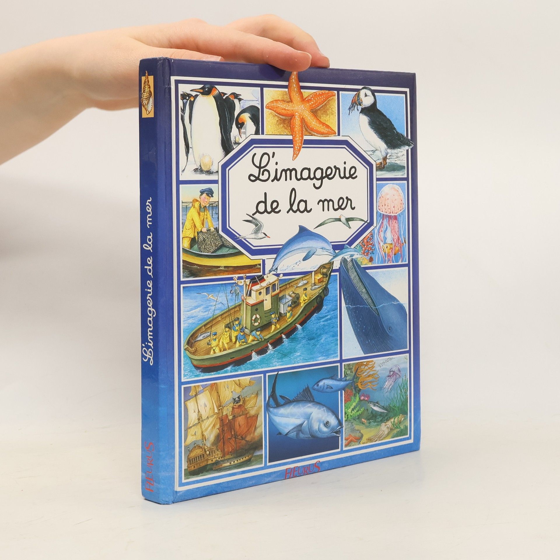 Emilie Beaumont L'imagerie de la mer