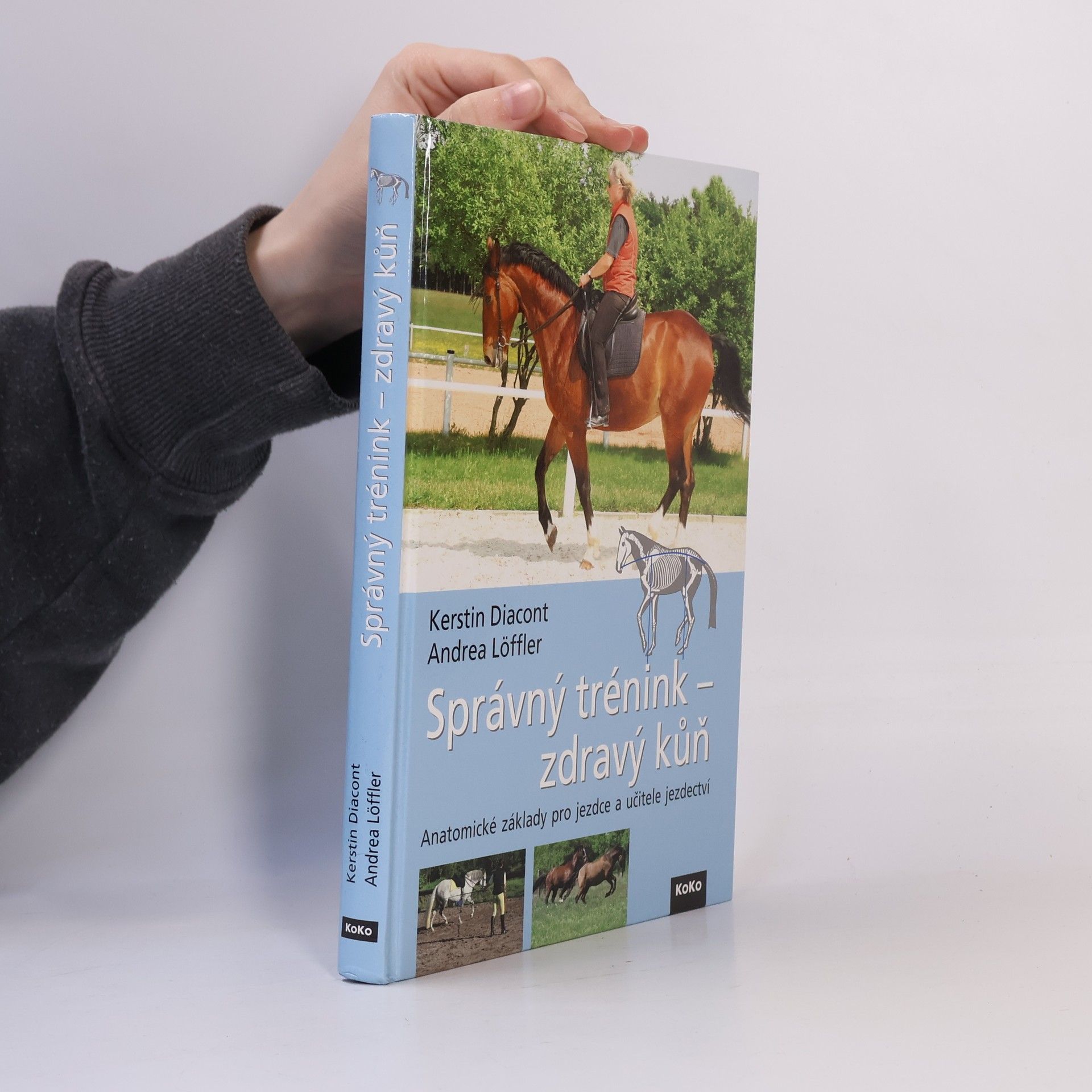 Kerstin Diacont Správný trénink - zdravý kůň