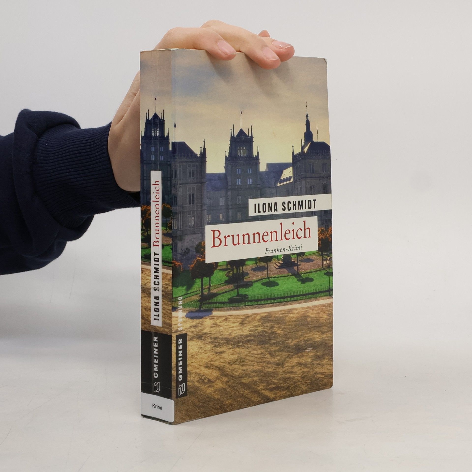 Ilona Schmidt Brunnenleich