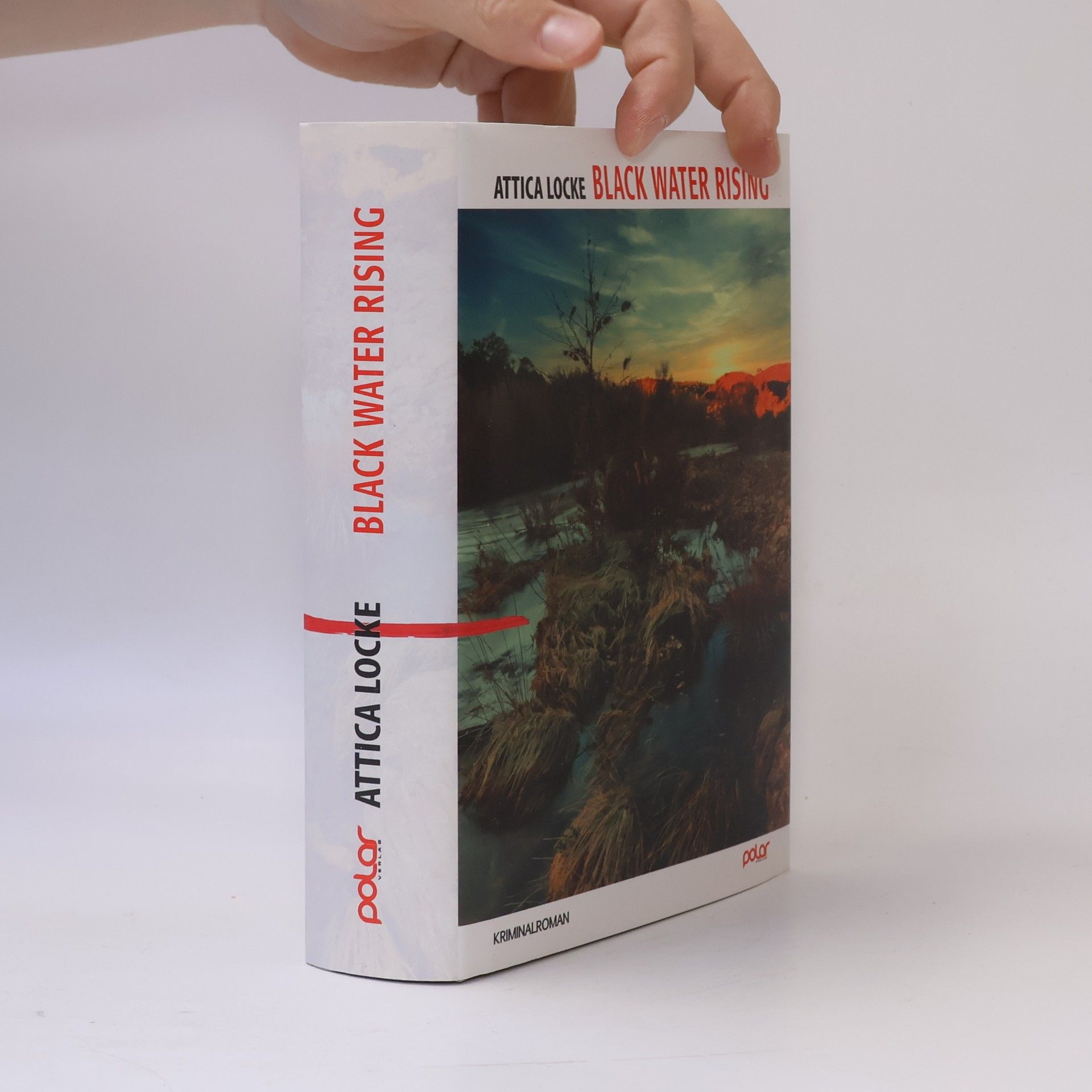 Attica Locke Black Water Rising