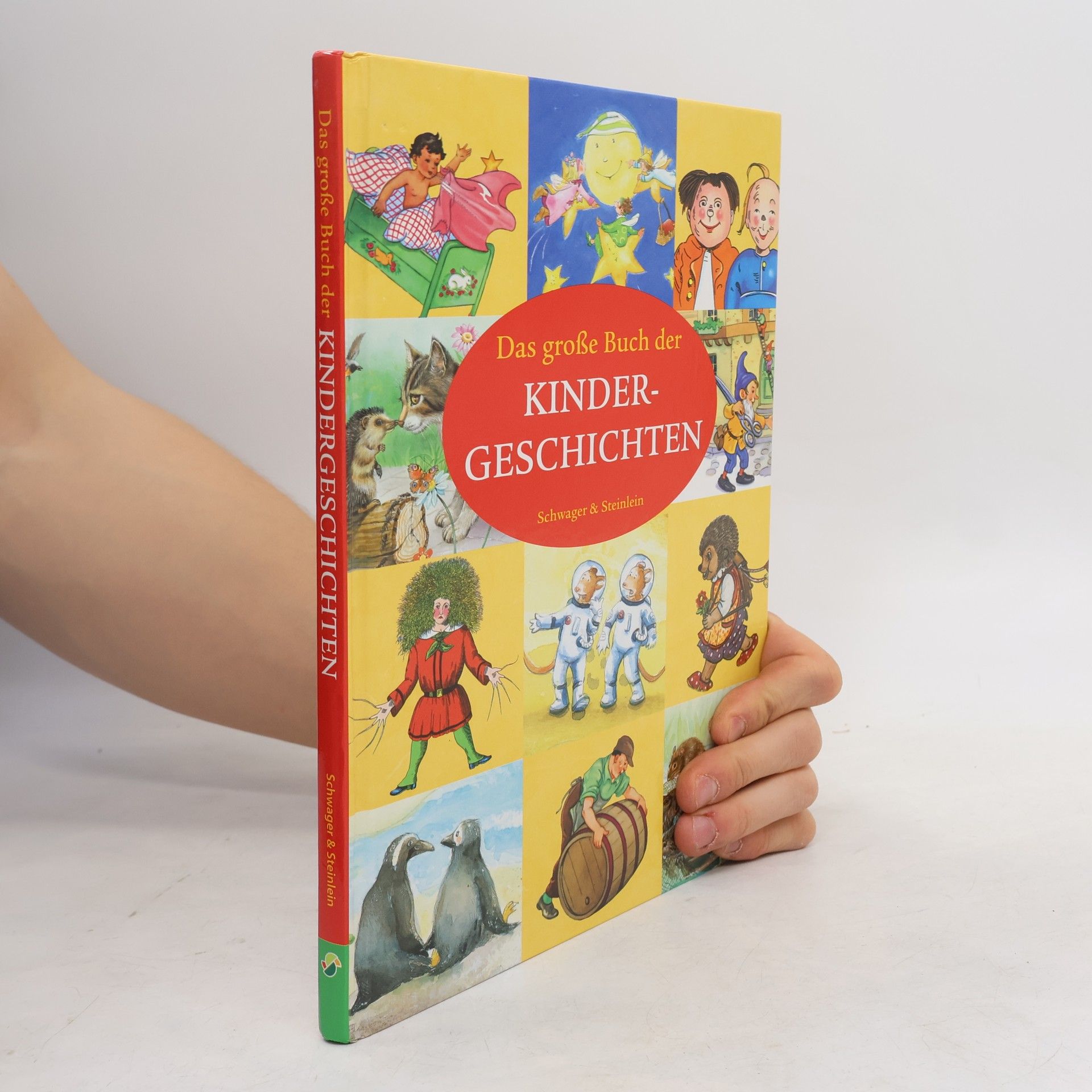 Autorenkollektiv Das große Buch der Kindergeschichten