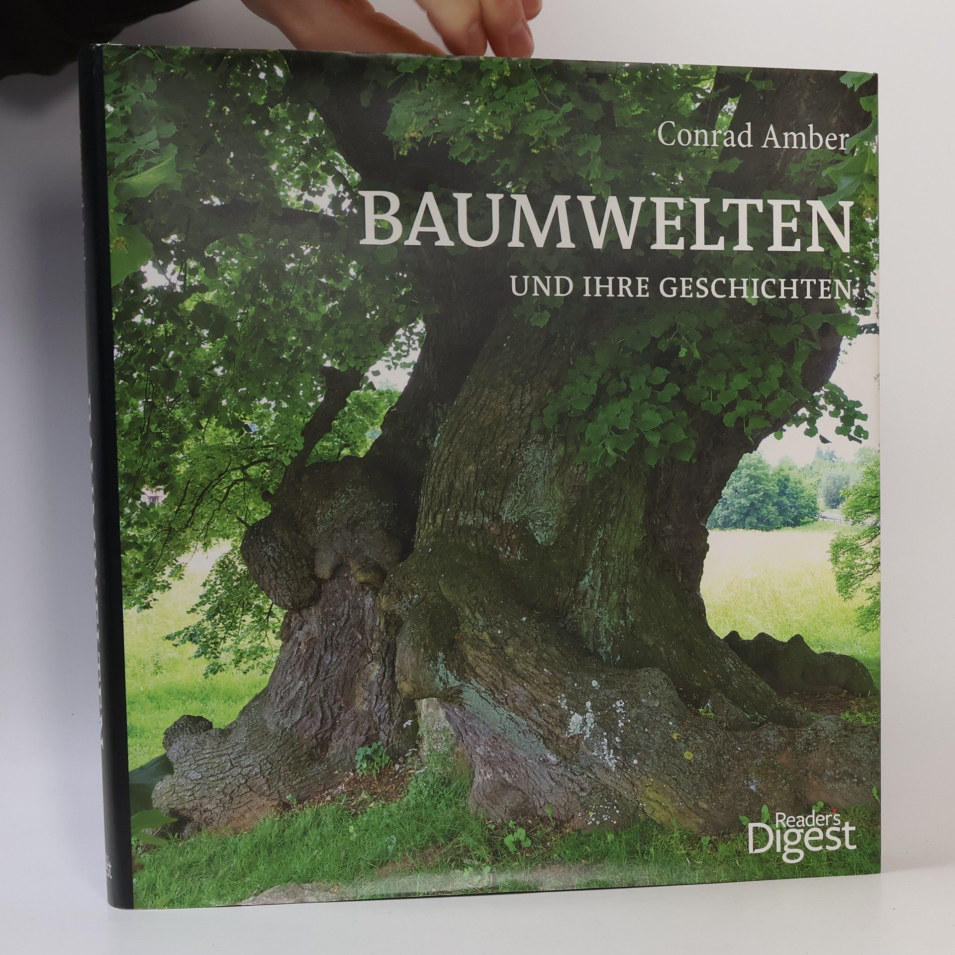 Conrad Amber Baumwelten und ihre Geschichten