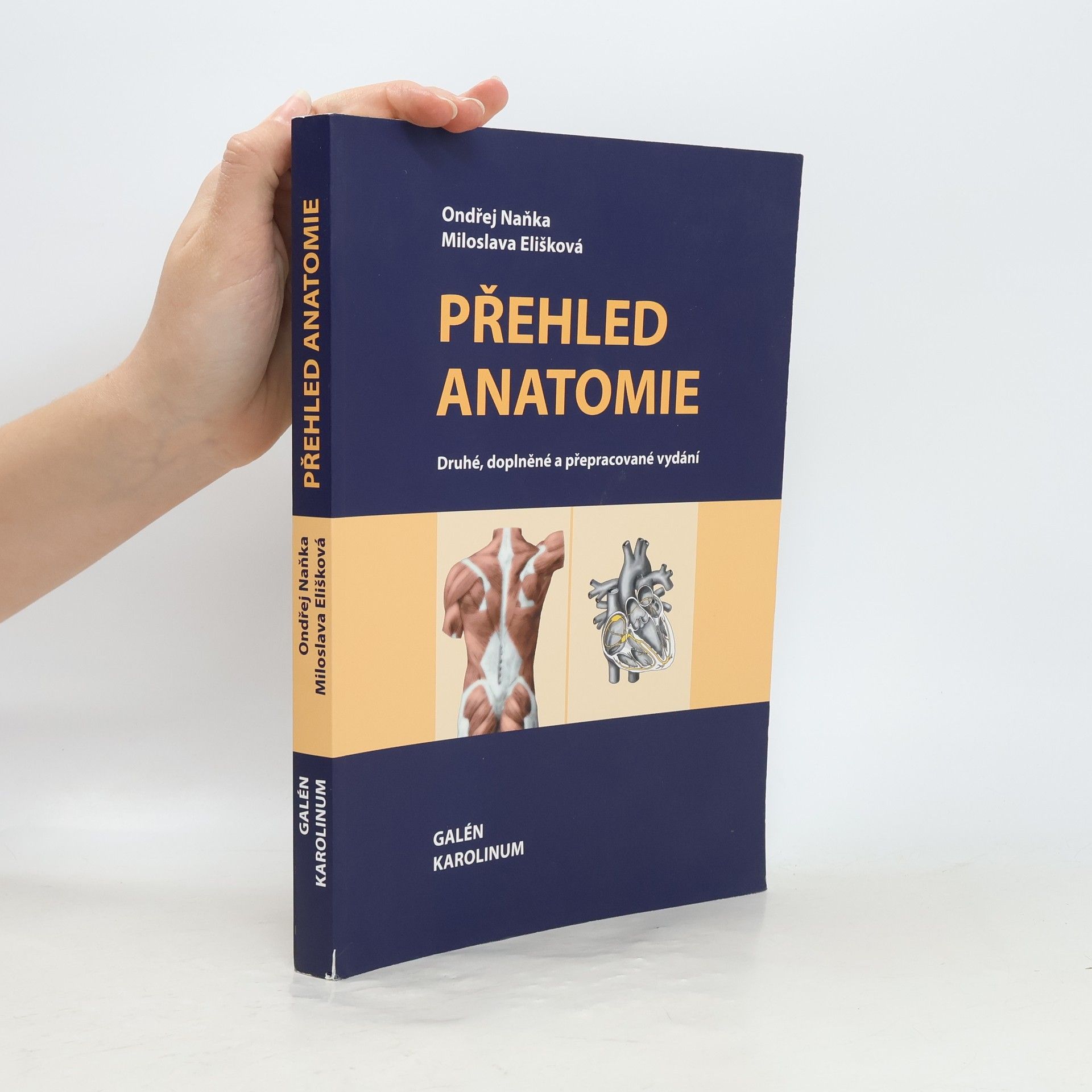 Autorenkollektiv Přehled anatomie