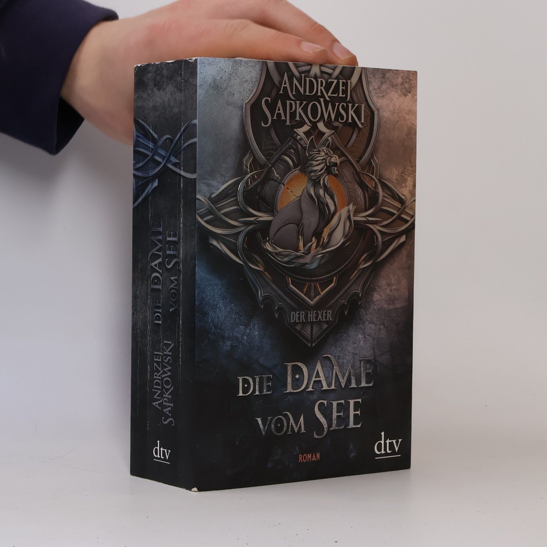 Andrzej Sapkowski Die Dame vom See