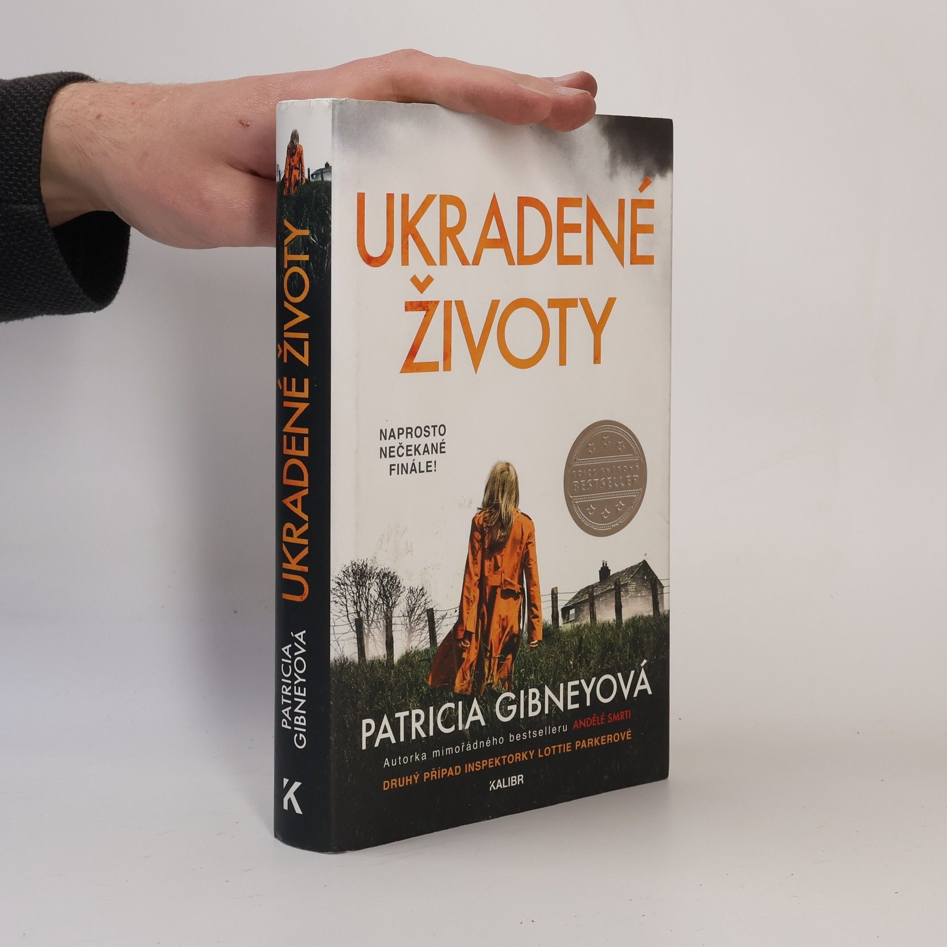 Patricia Gibney Ukradené životy