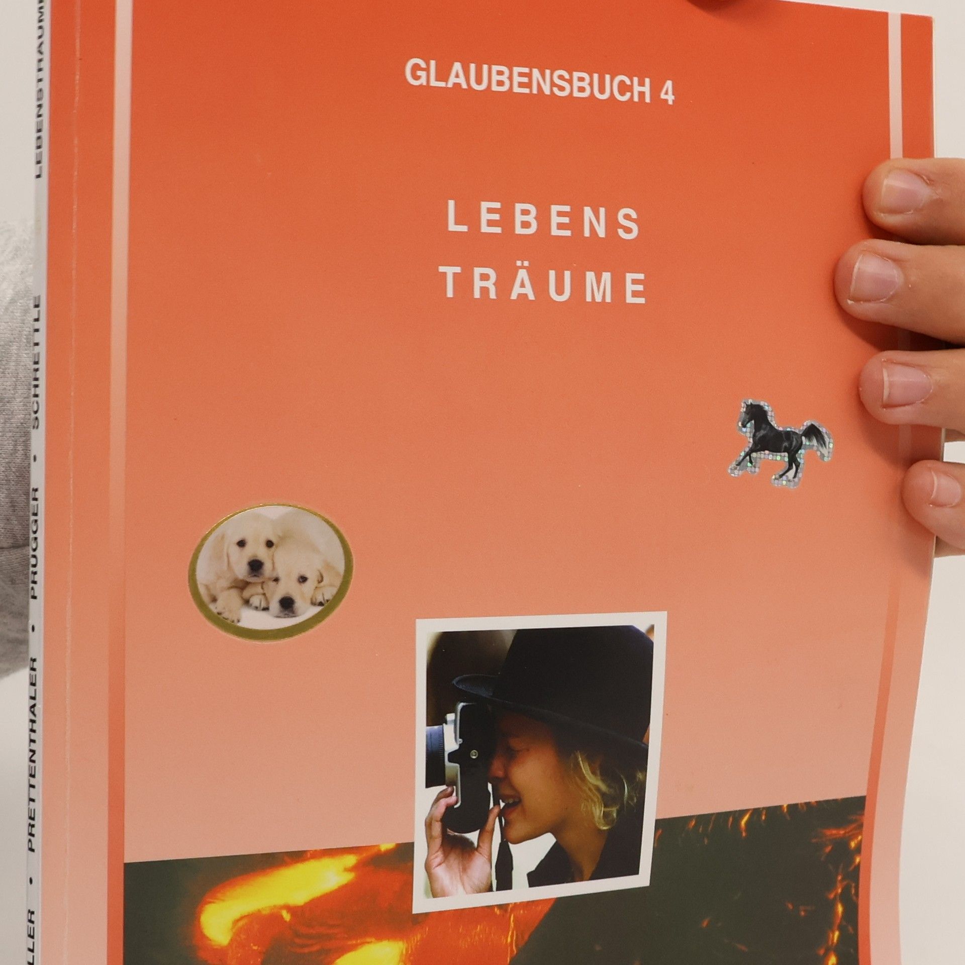 Franz N. Müller Glaubensbuch 4. Lebensträume