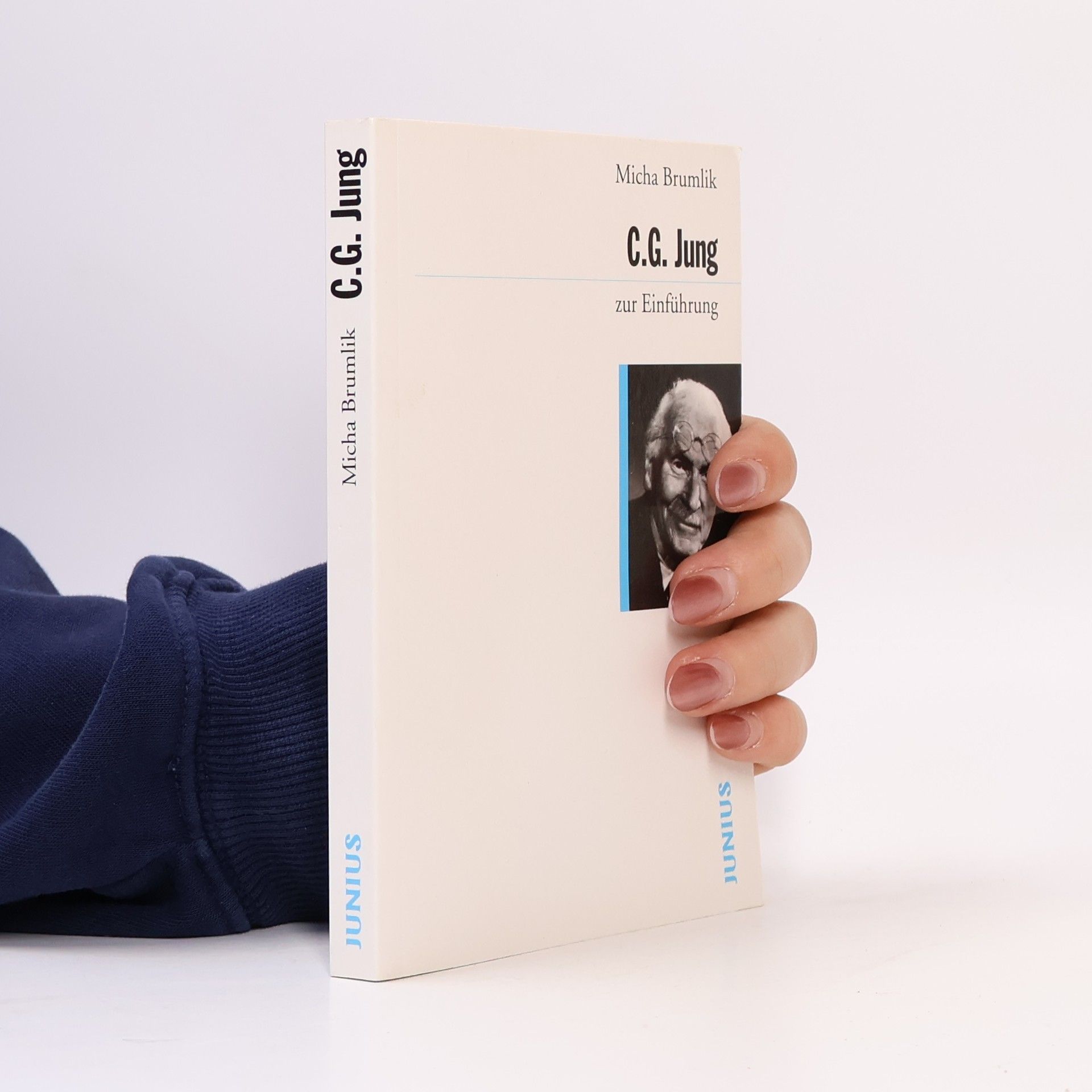 Micha Brumlik C. G. Jung zur Einführung