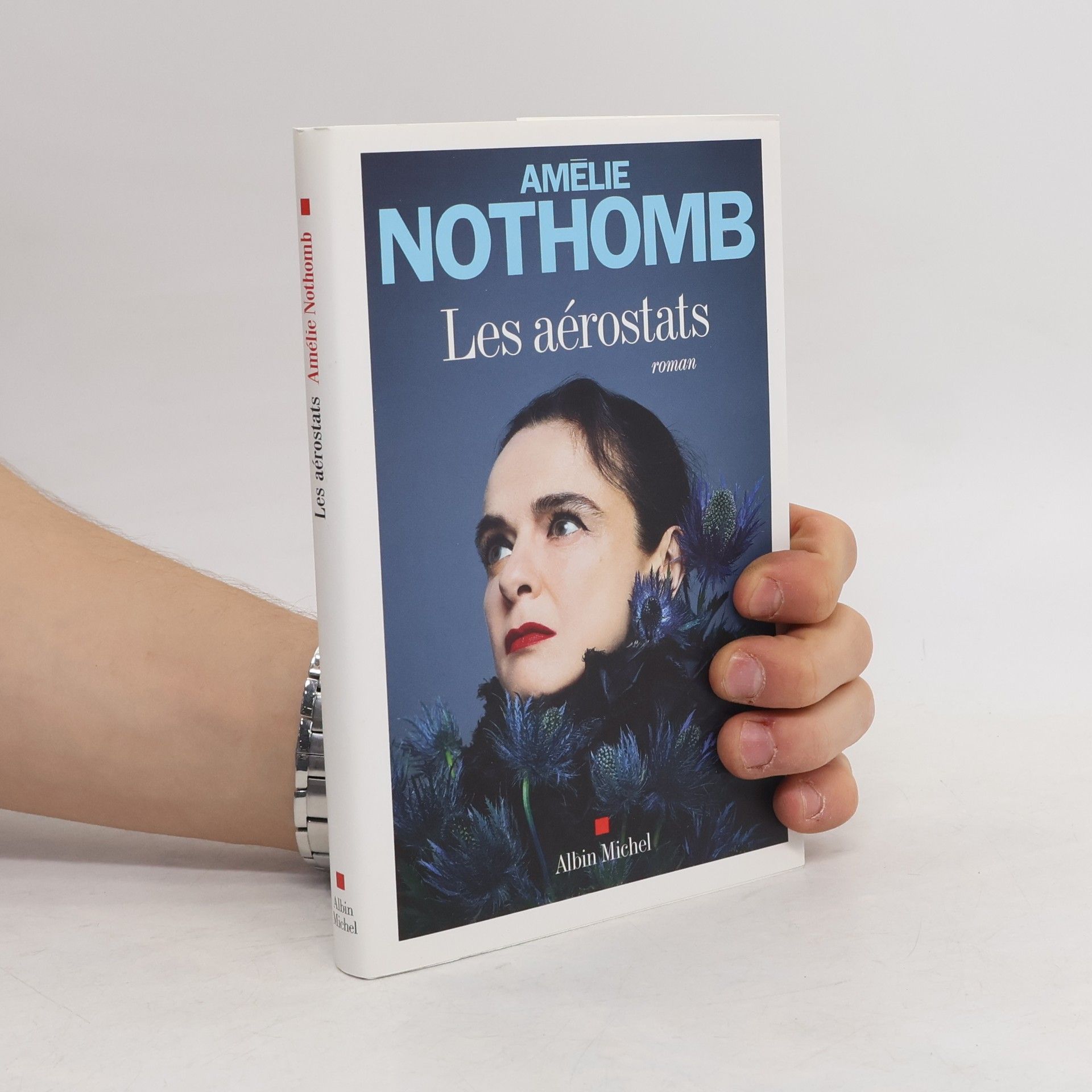 Amélie Nothomb Les Aérostats