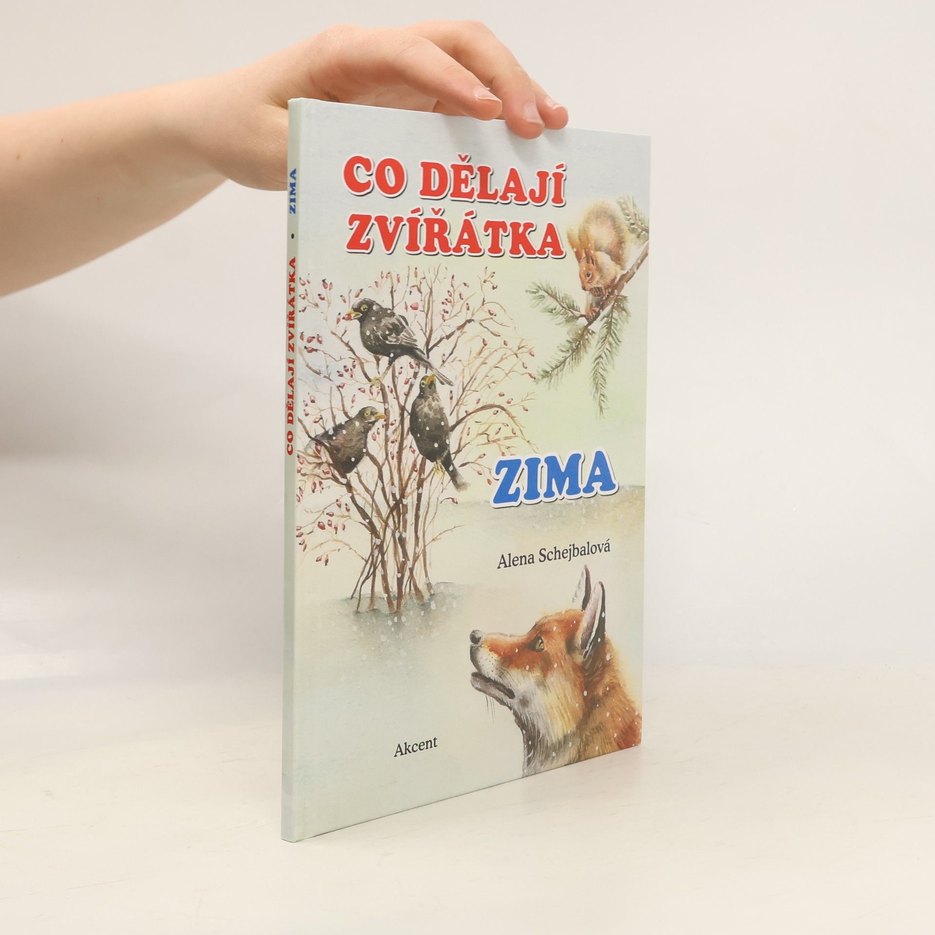 Co dělají zvířátka. Zima