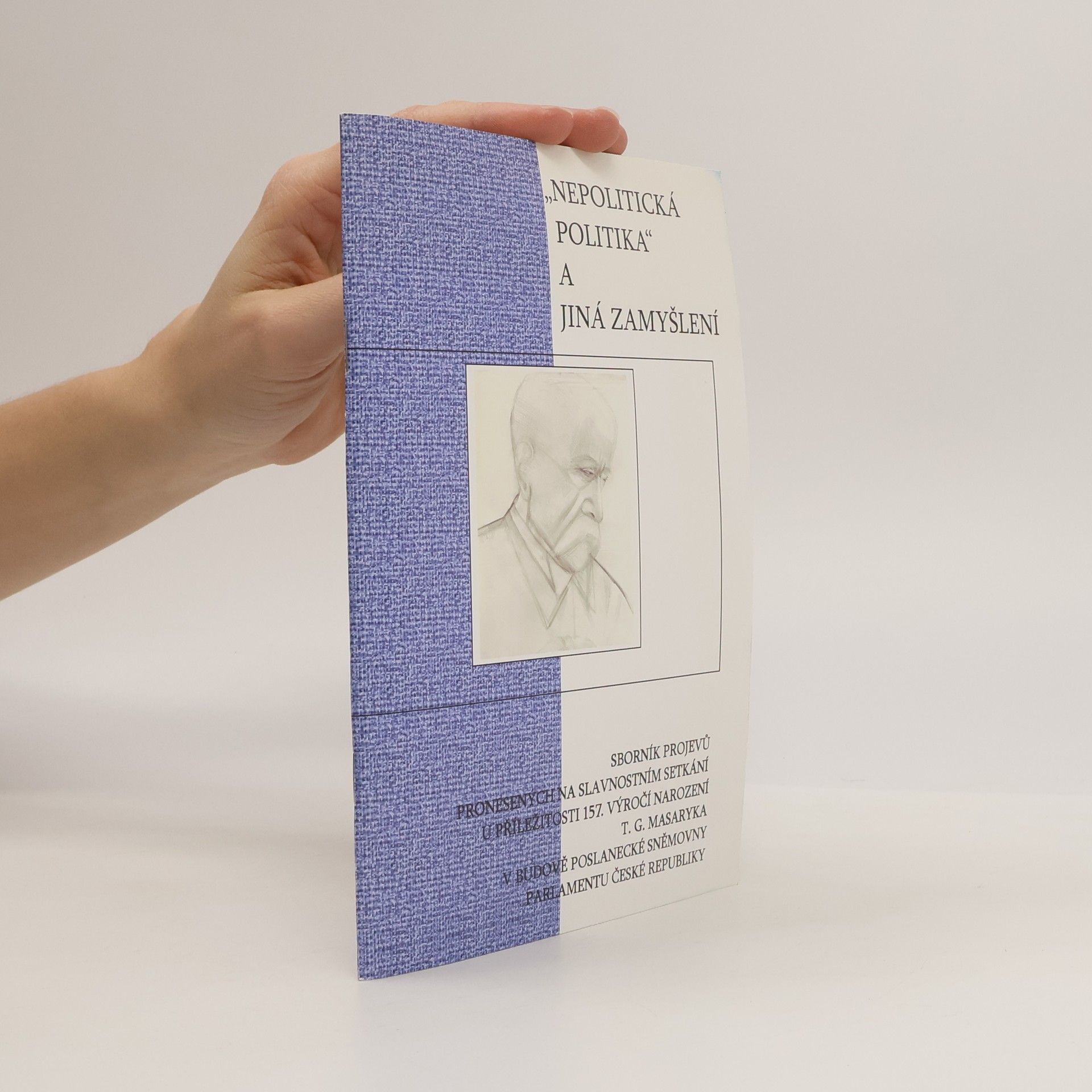 "Nepolitická politika" a jiná zamyšlení