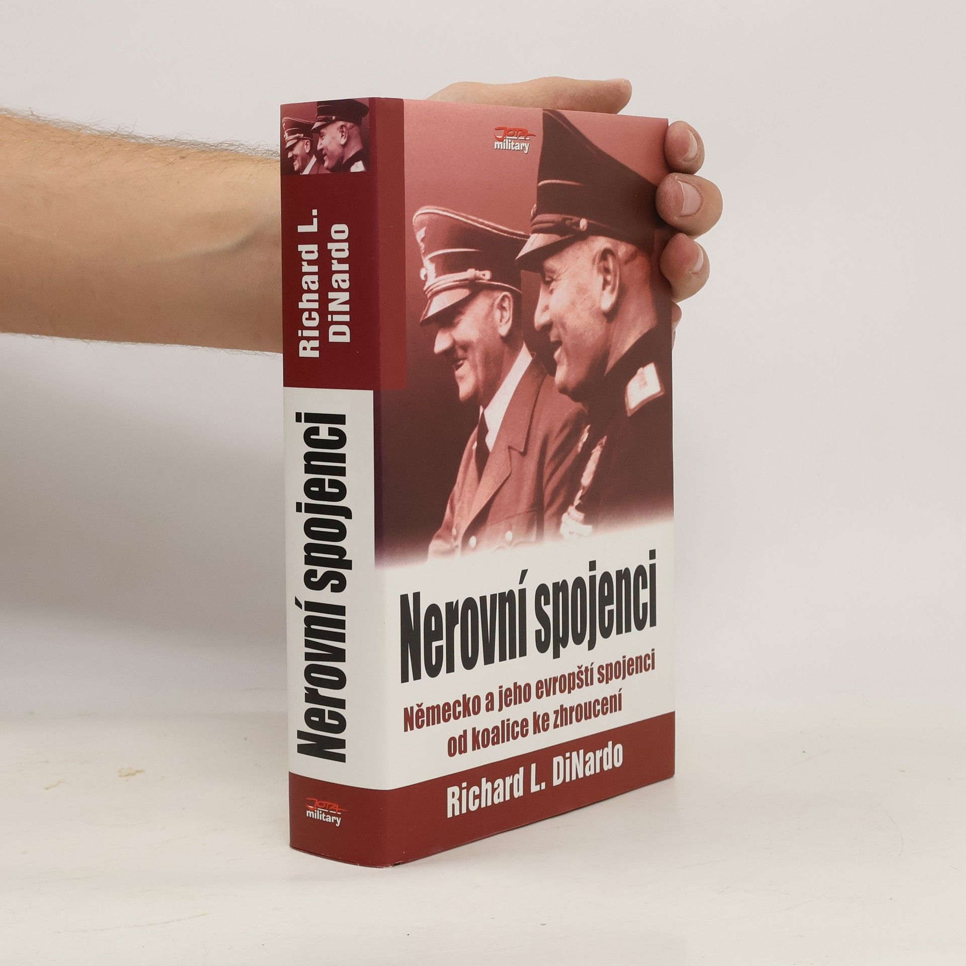 Richard L. DiNardo Nerovní spojenci