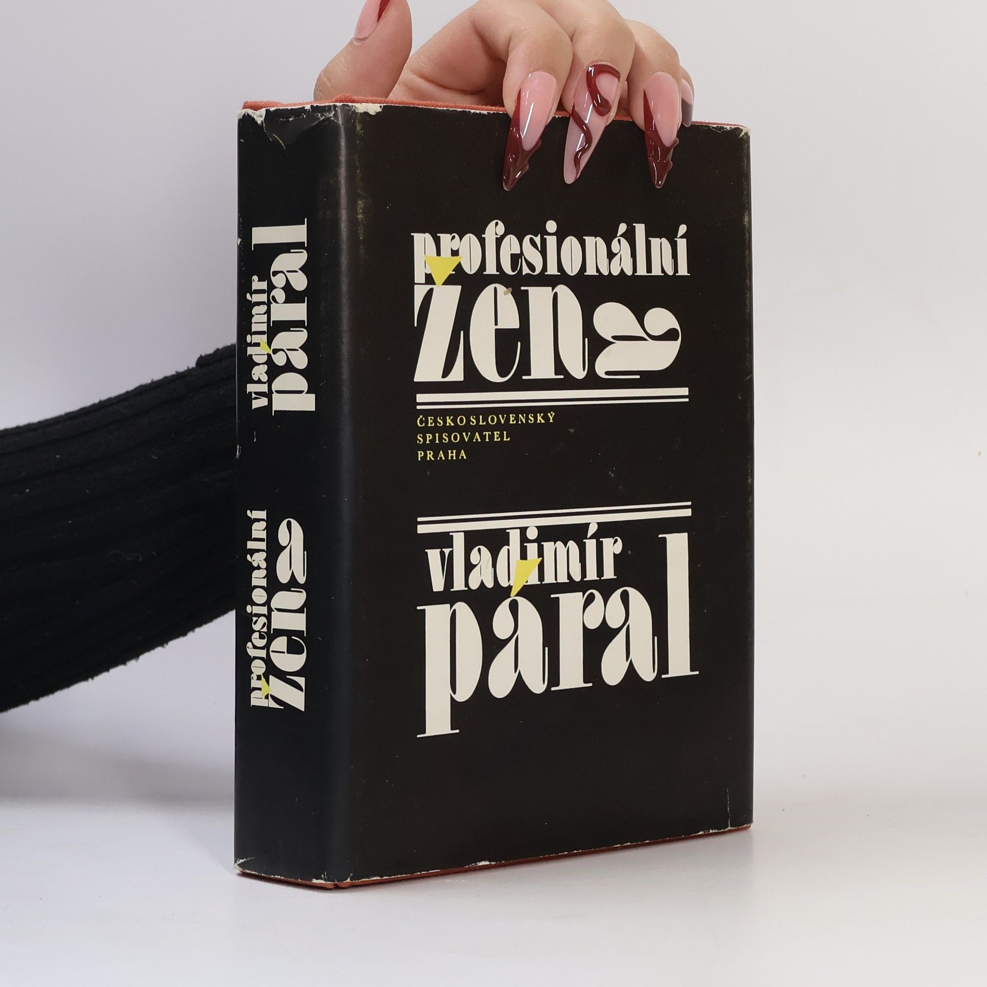 Vladimír Páral Profesionální žena